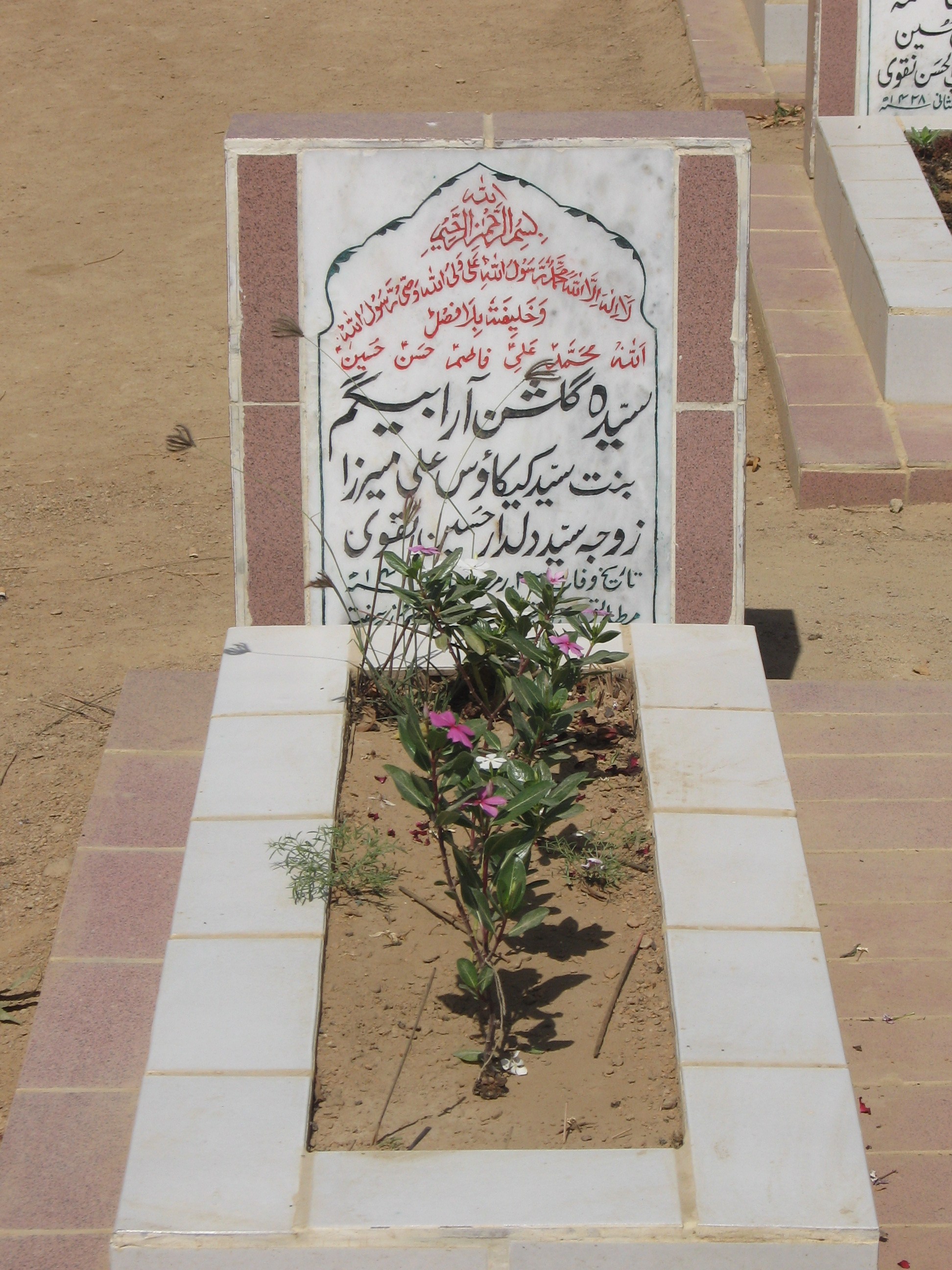 3439 – Syed Miraj ul Hasan Naqvi