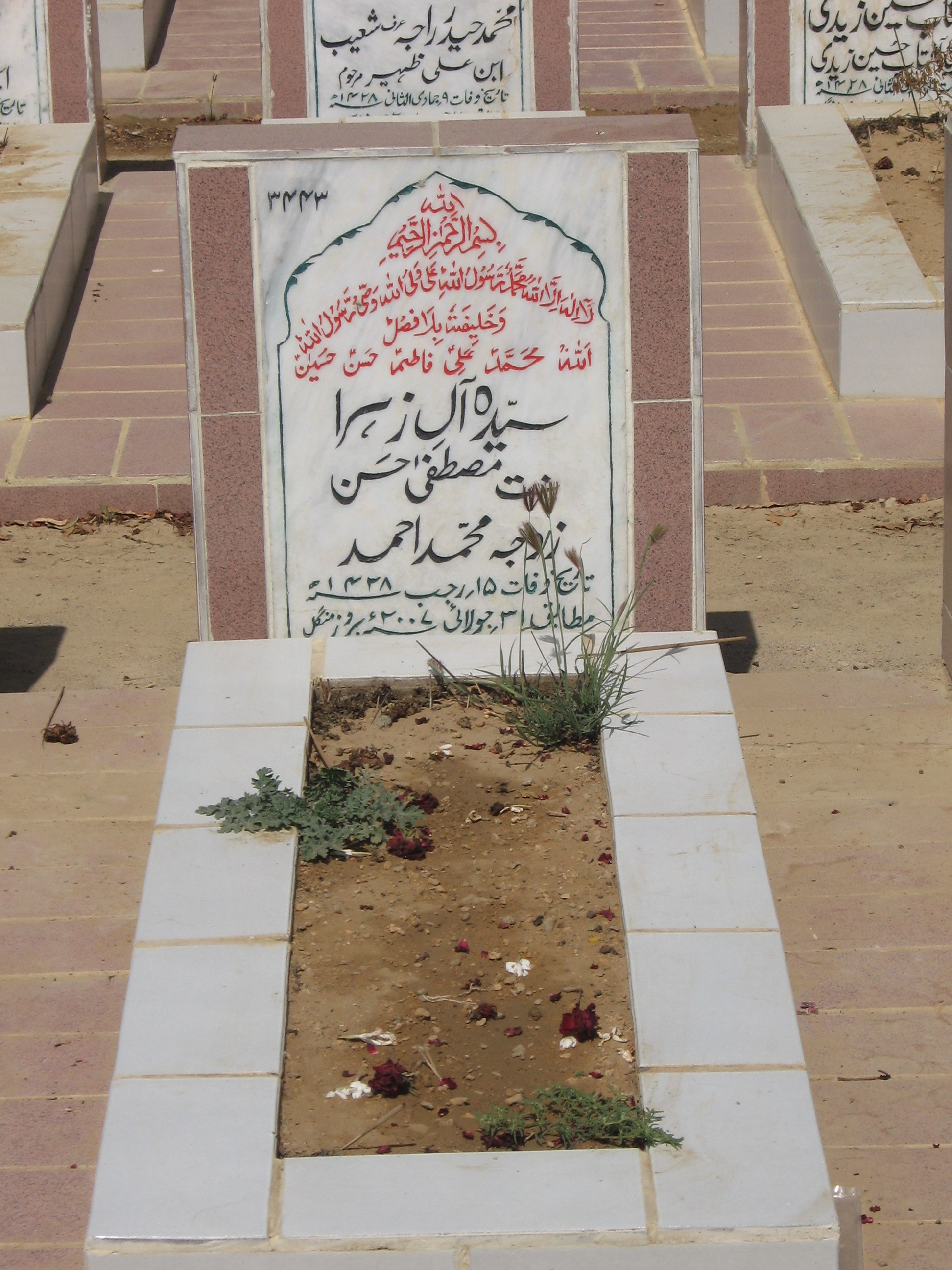 3443 – Syeda Aly Zehra