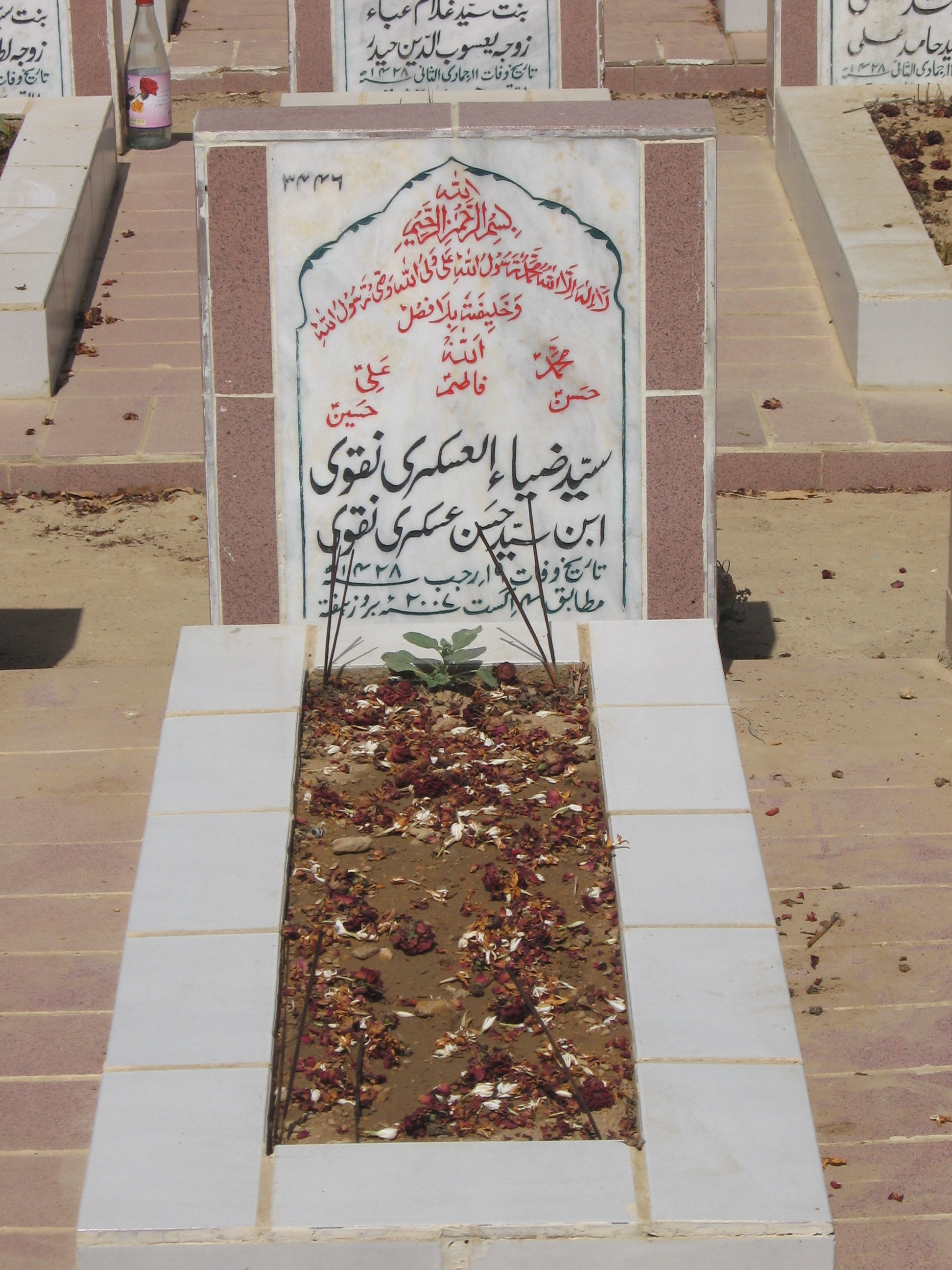 3446 – Syed Zia ul Askari Naqvi