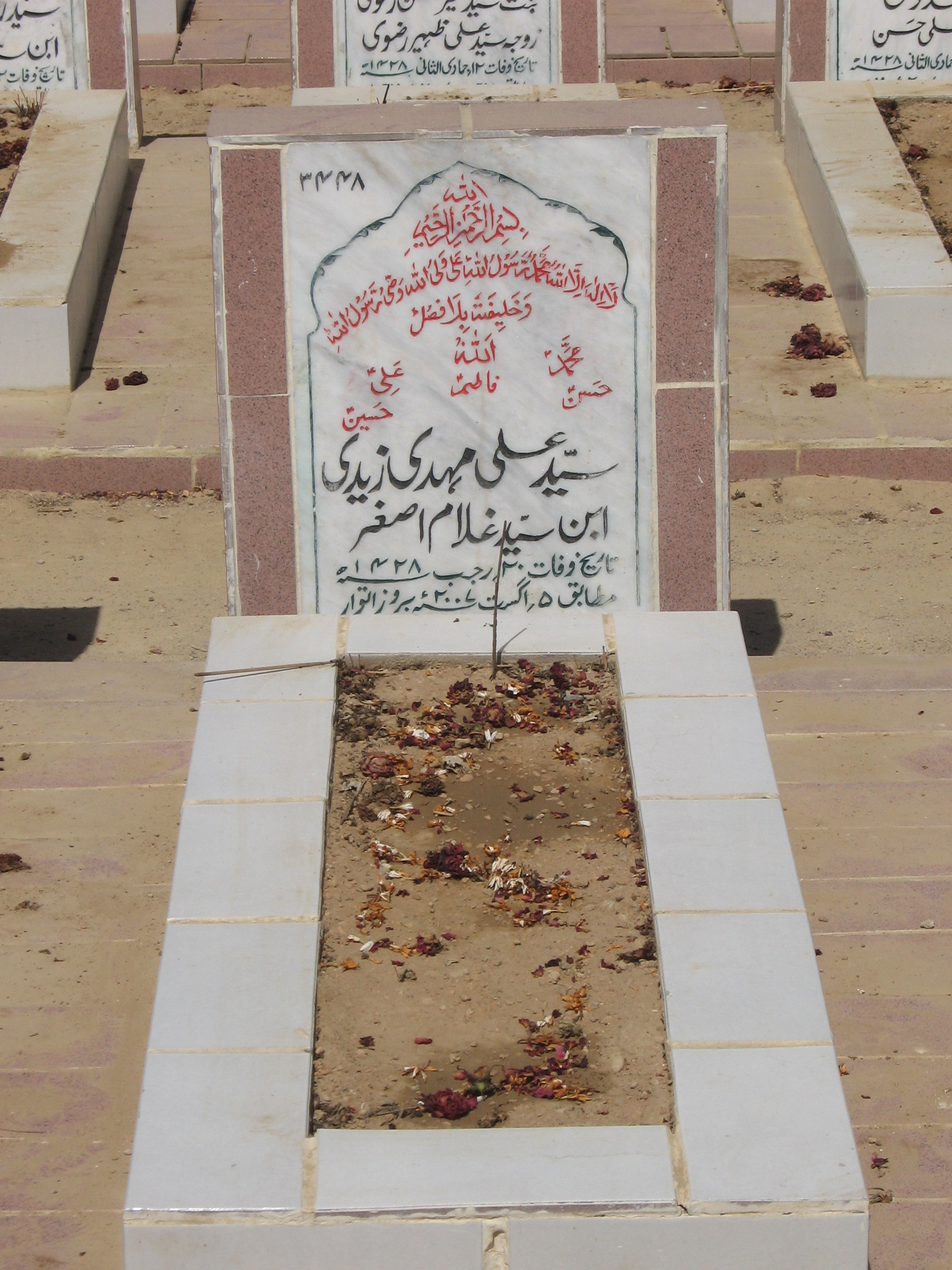 3448 – Syed Ali Mehdi Zaidi