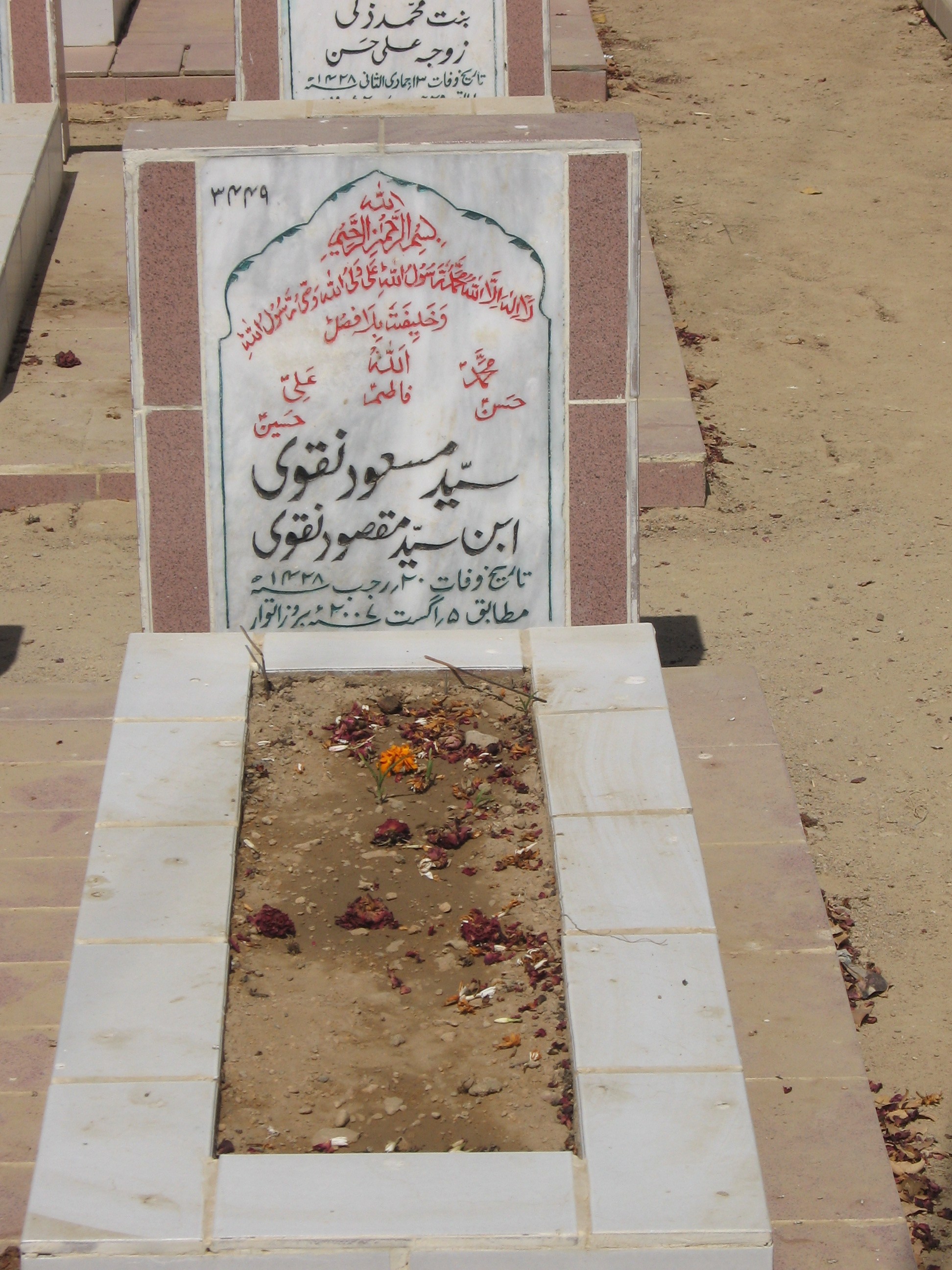 3449 – Syed Masood Naqvi