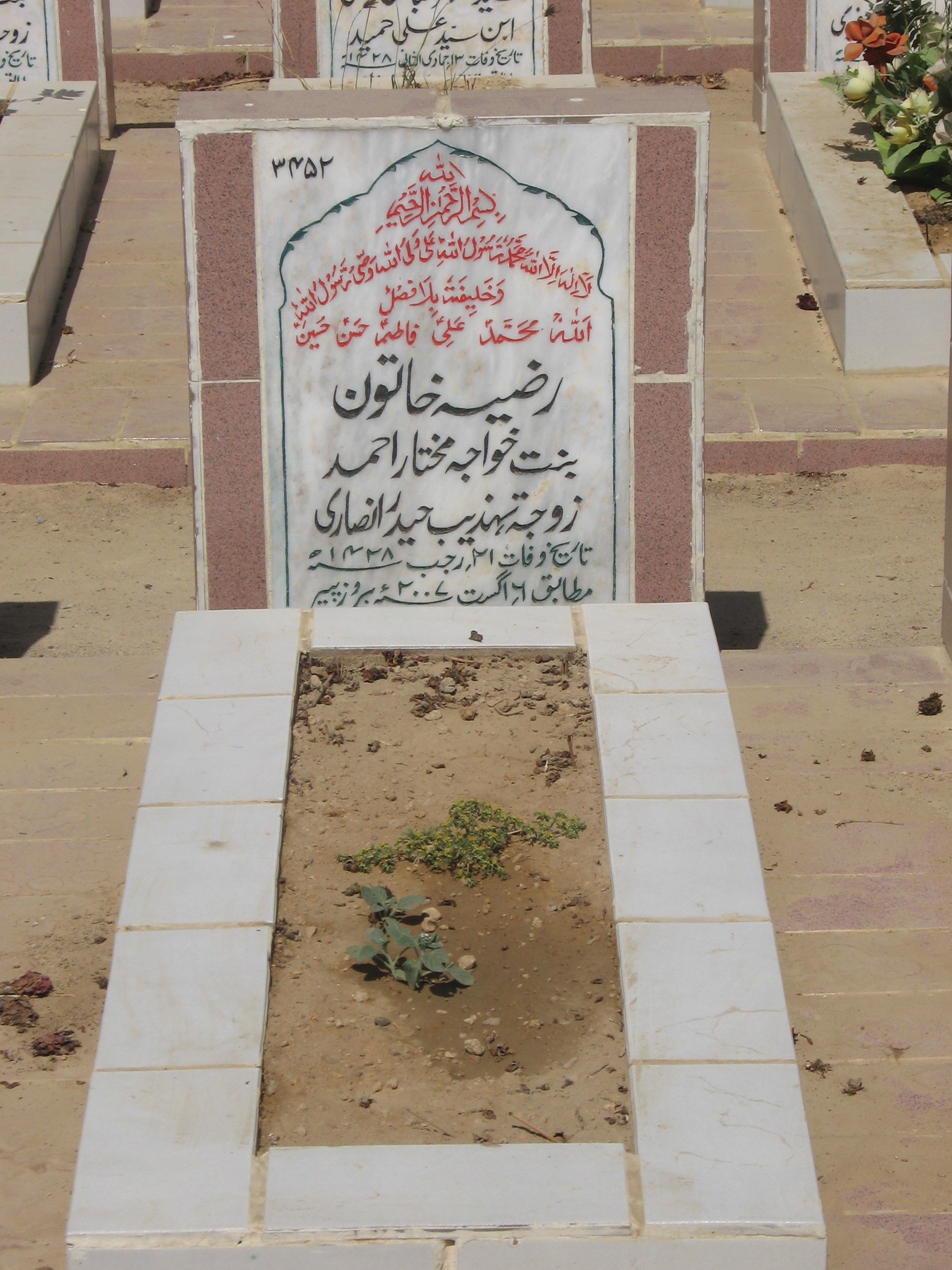 3452 – Raziya Khatoon