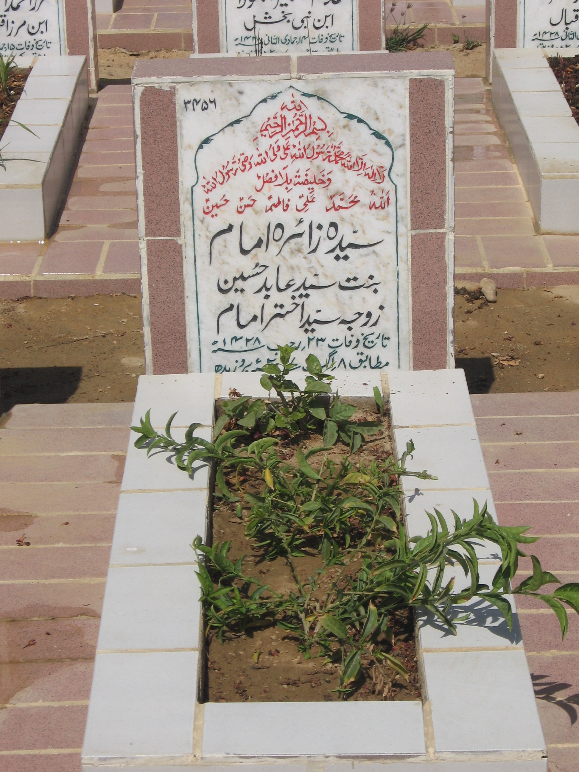 3456 – Syeda Zahir Imam