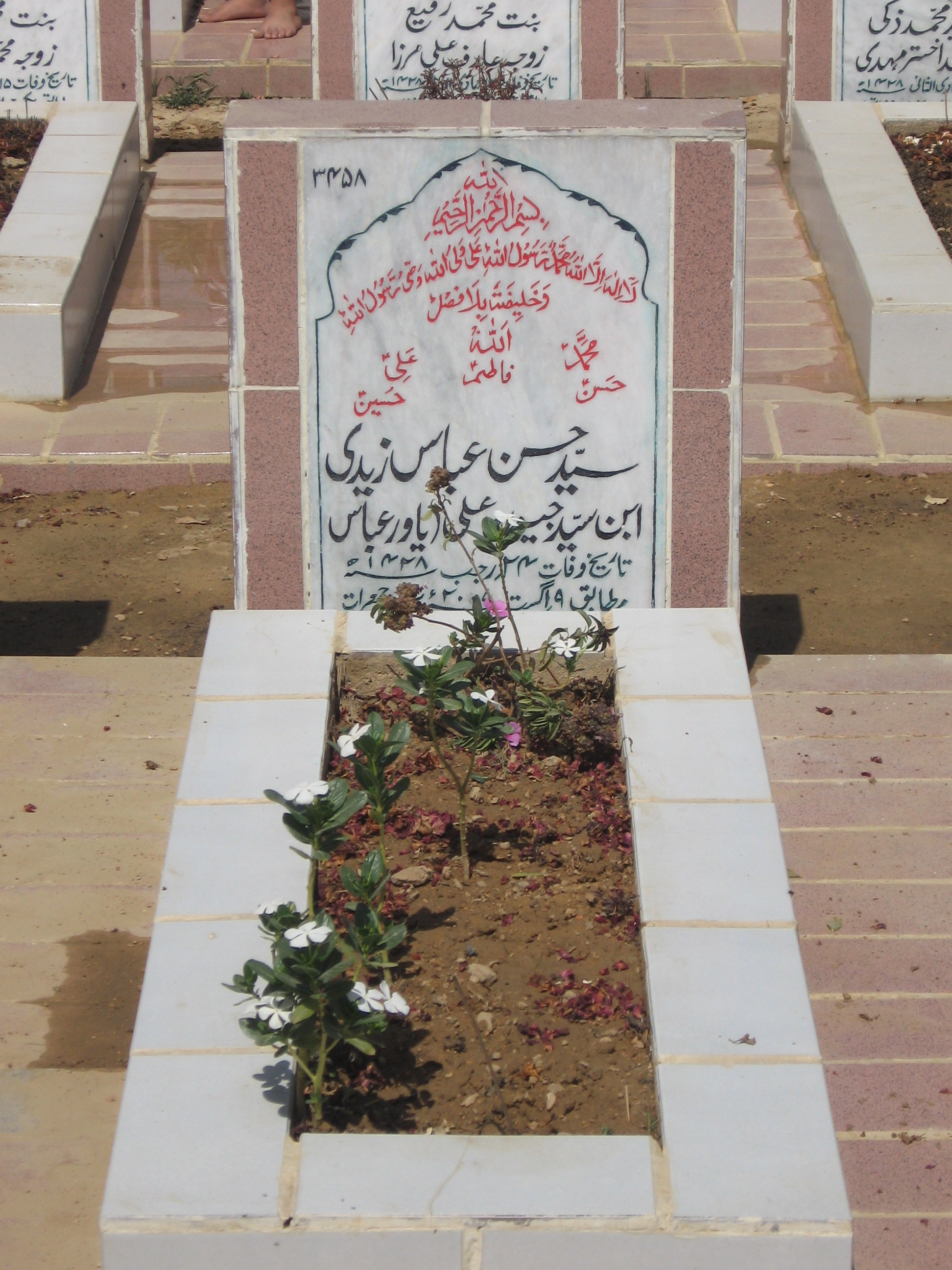 3458 – Syed Hasan Abbas Zaidi