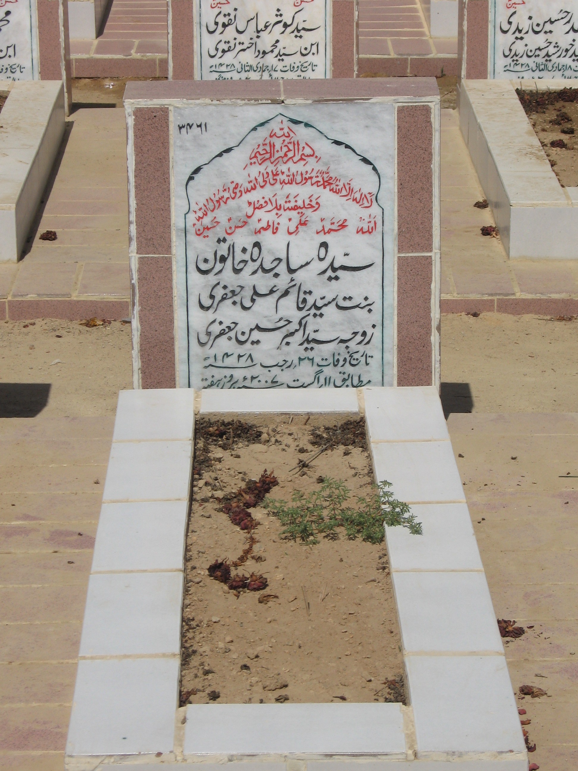 3461 – Syeda Sajida Khatoon