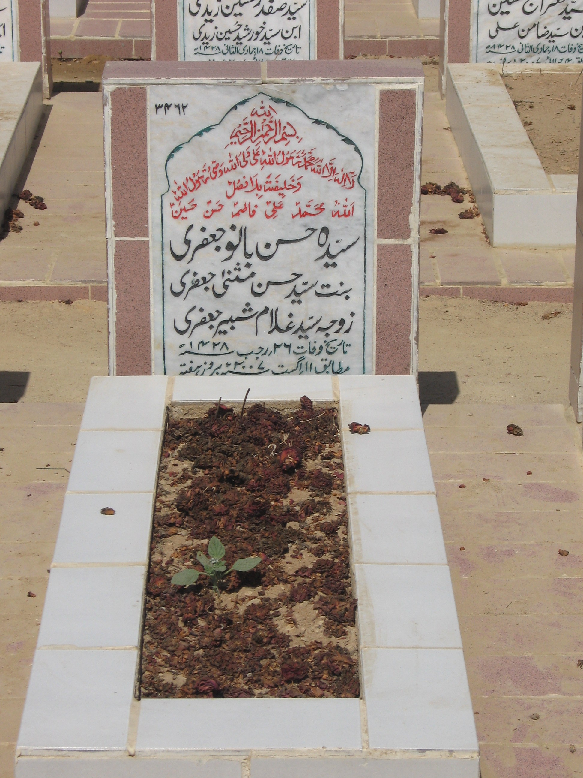 3462 – Syeda Hasan Bano Jaffary