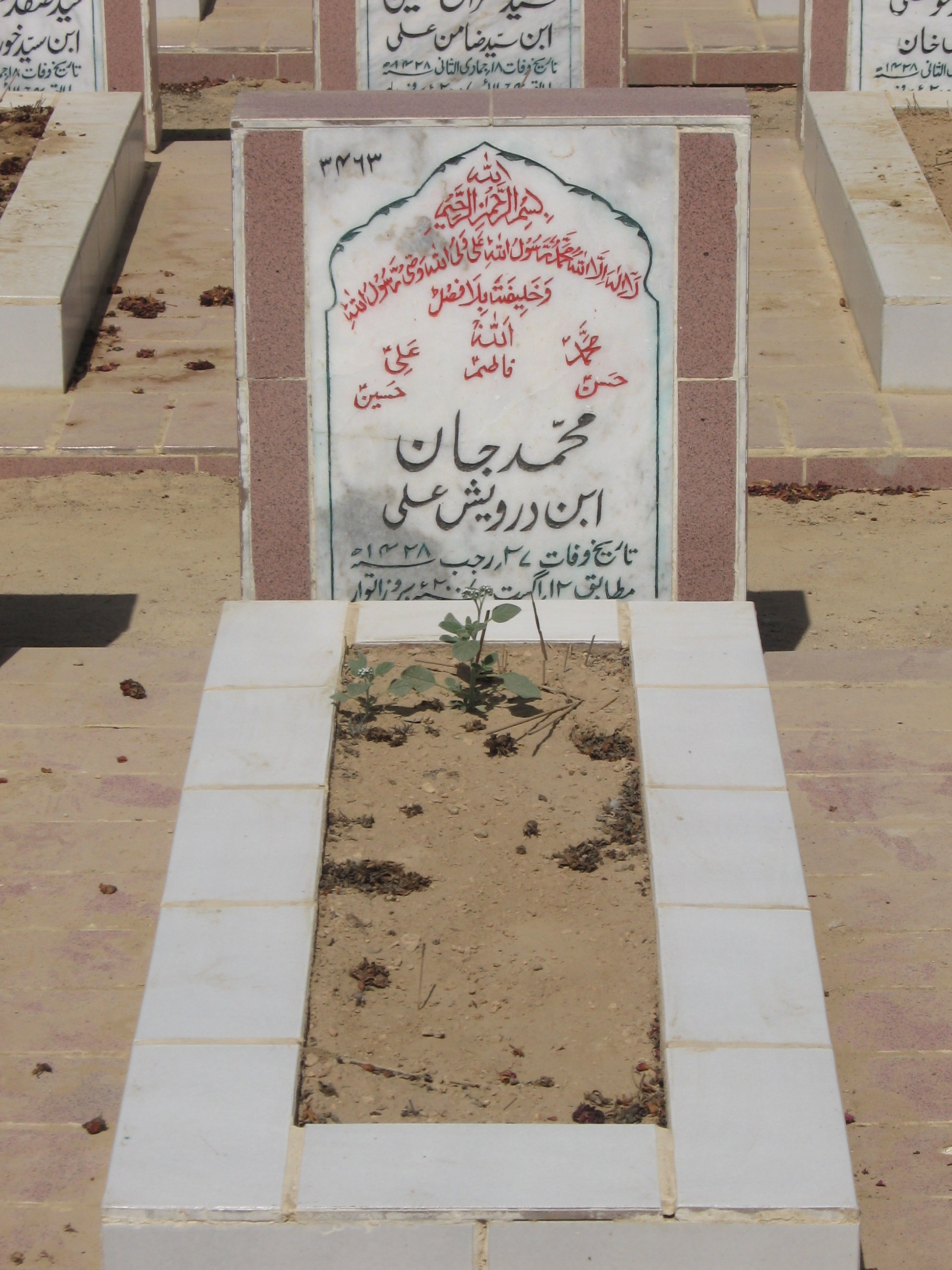 3463 – Mohammad Jan