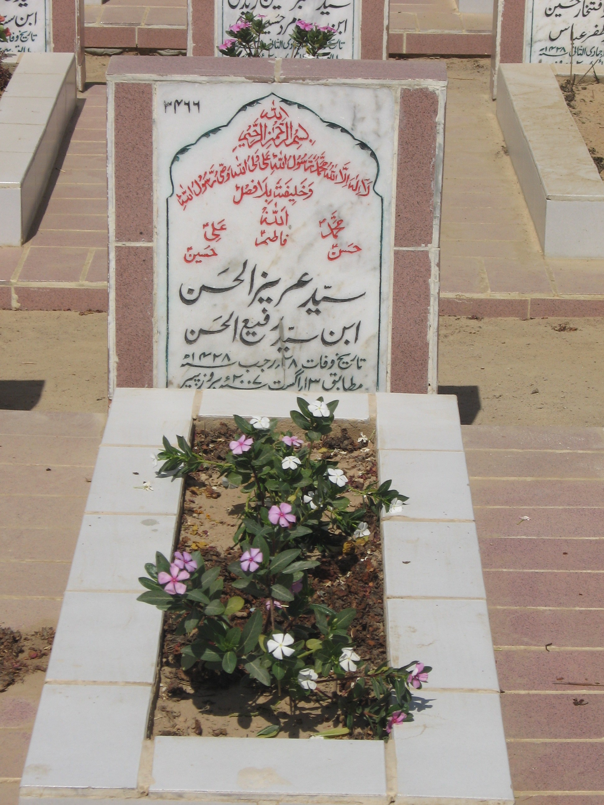 3466 – Syed Aziz ul Hasan