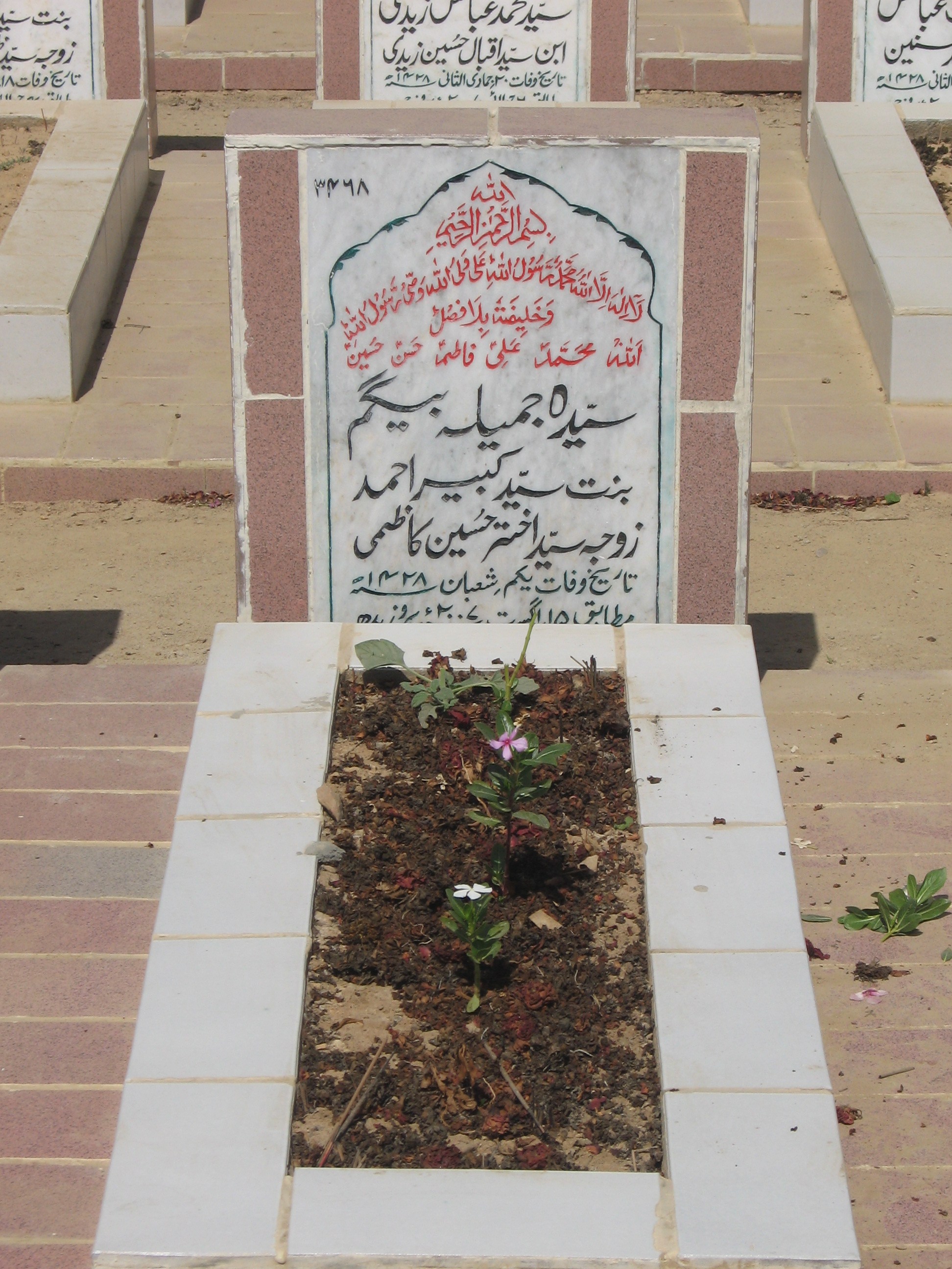 3468 – Syeda Jameela Beghum