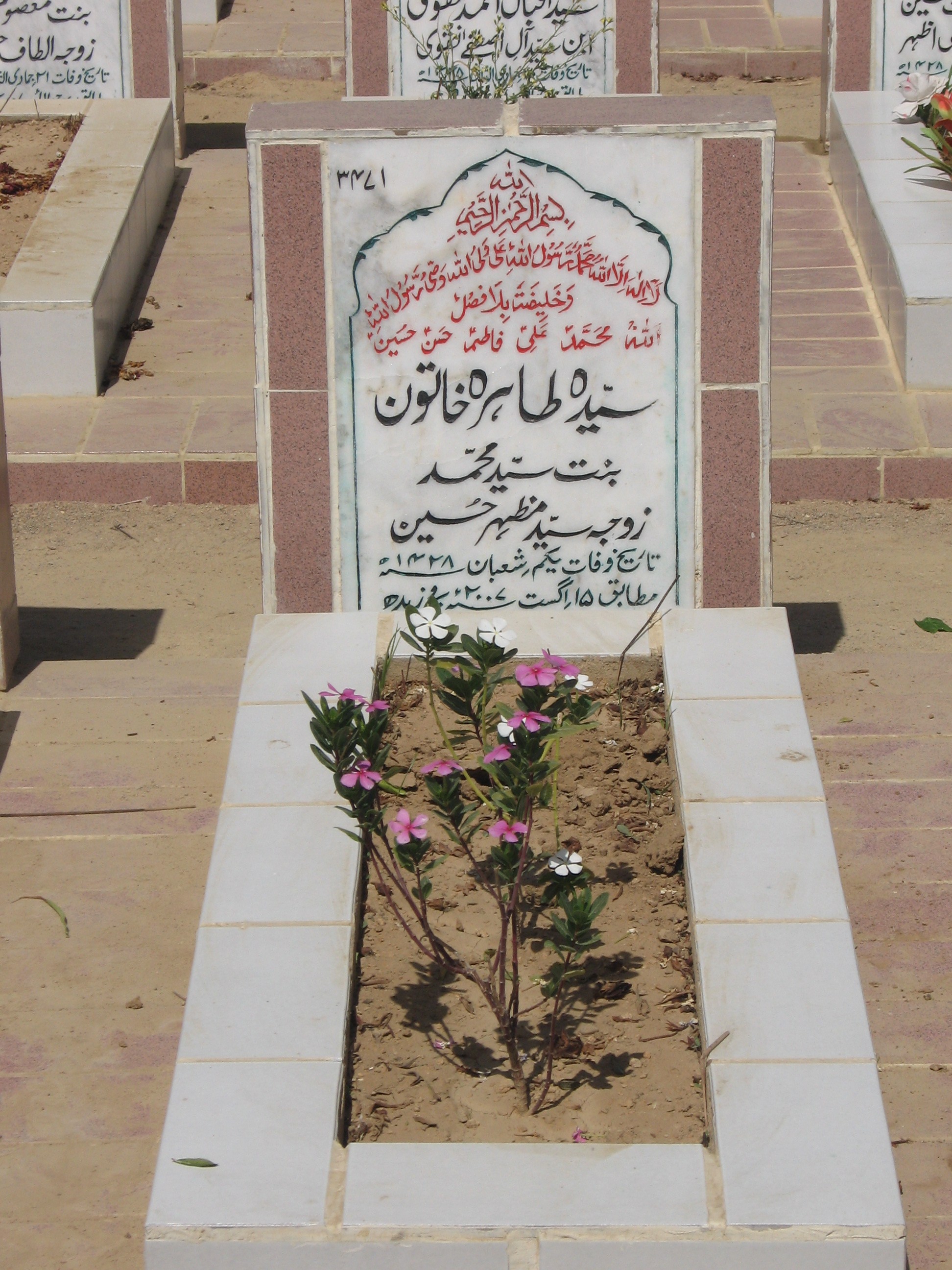 3471 – Syeda Tahira Khatoon