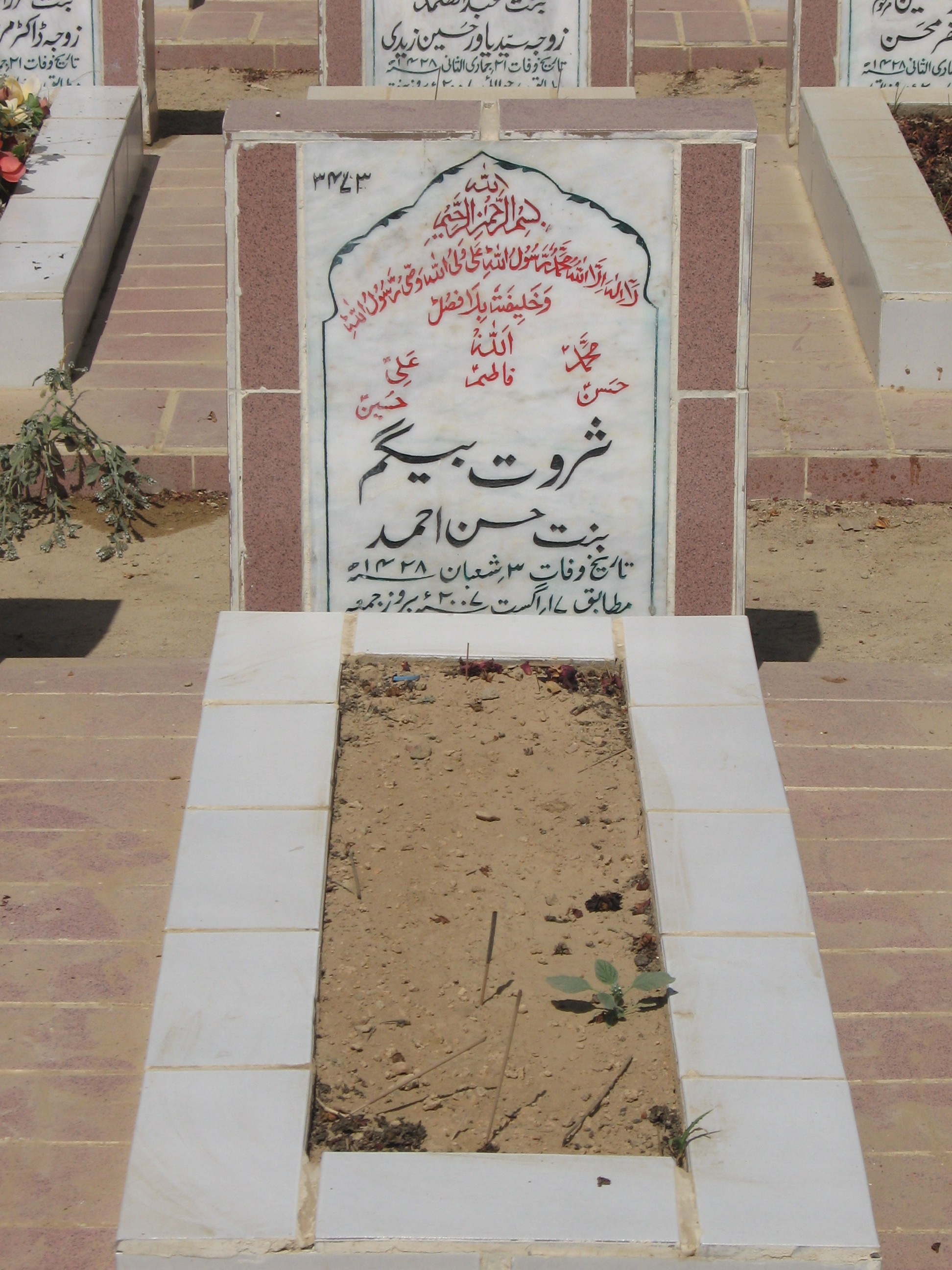 3473 – Sarwat Beghum