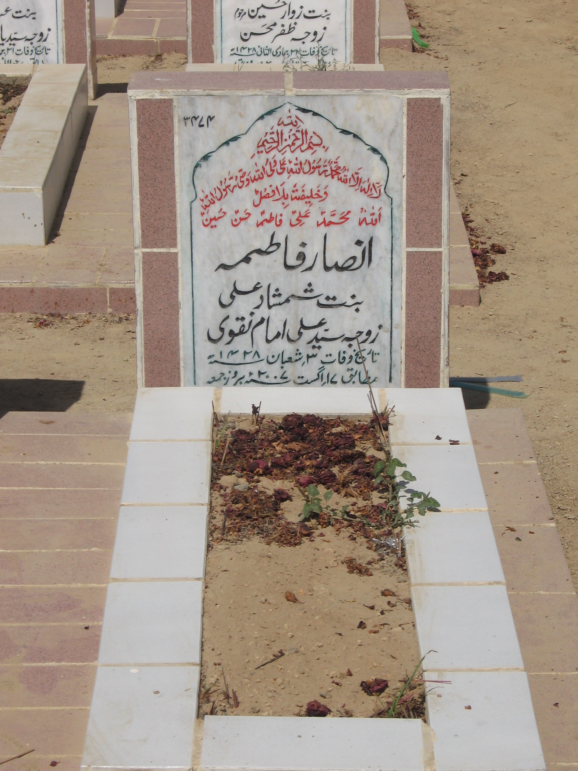 3474 – Ansar Fatima