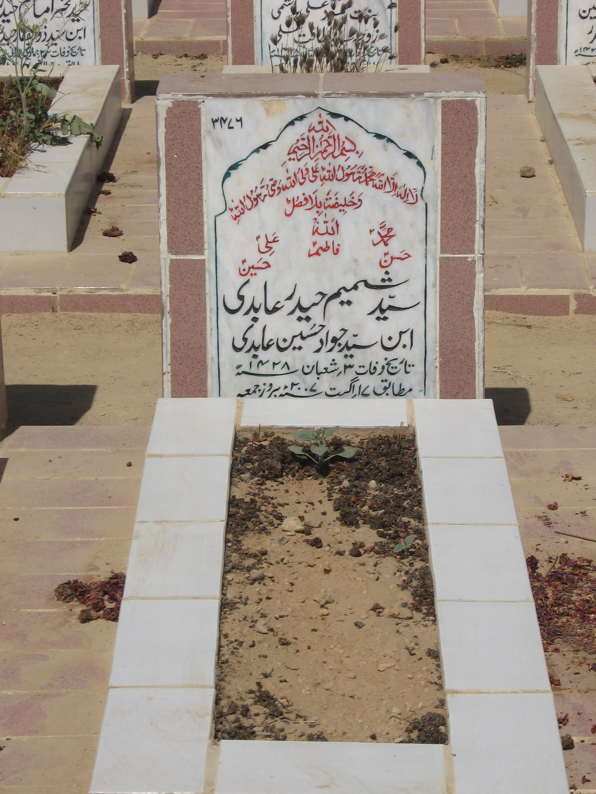 3476 – Syed Shamim Haider Abidi