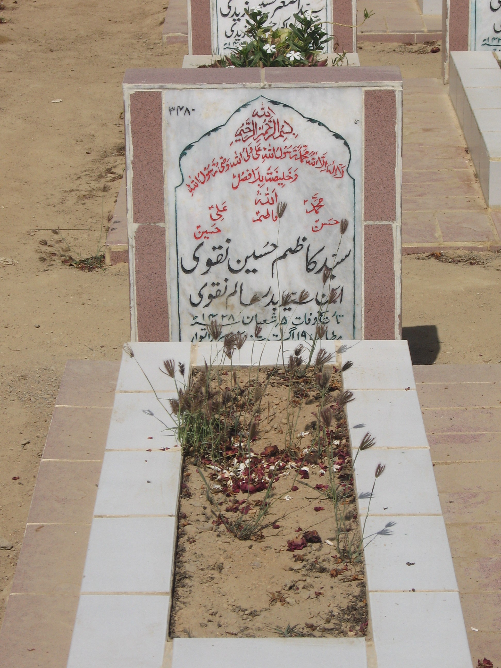 3480 – Syed Kazim Hussain Naqvi