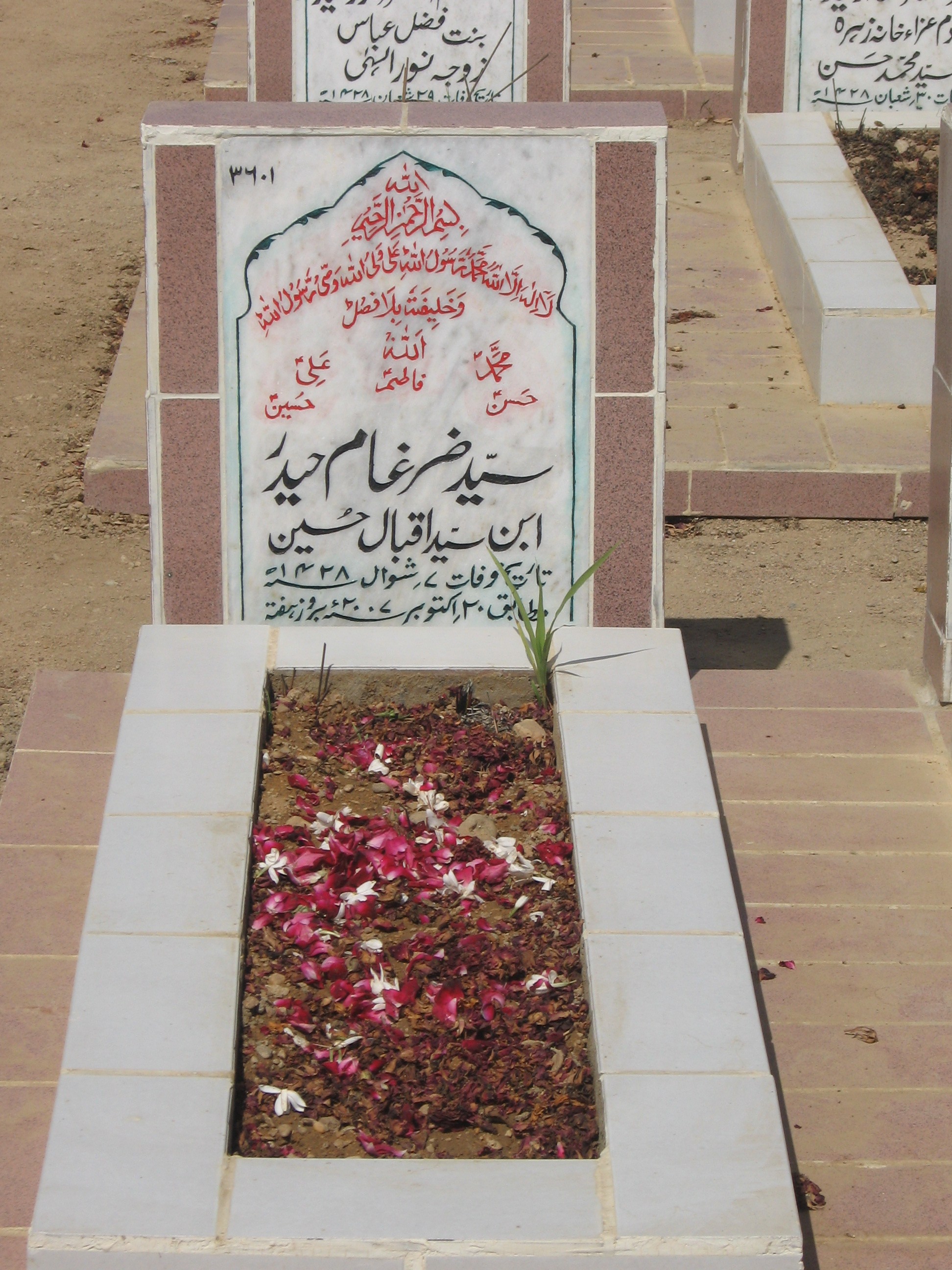 3601 – Syed Zargham Haider