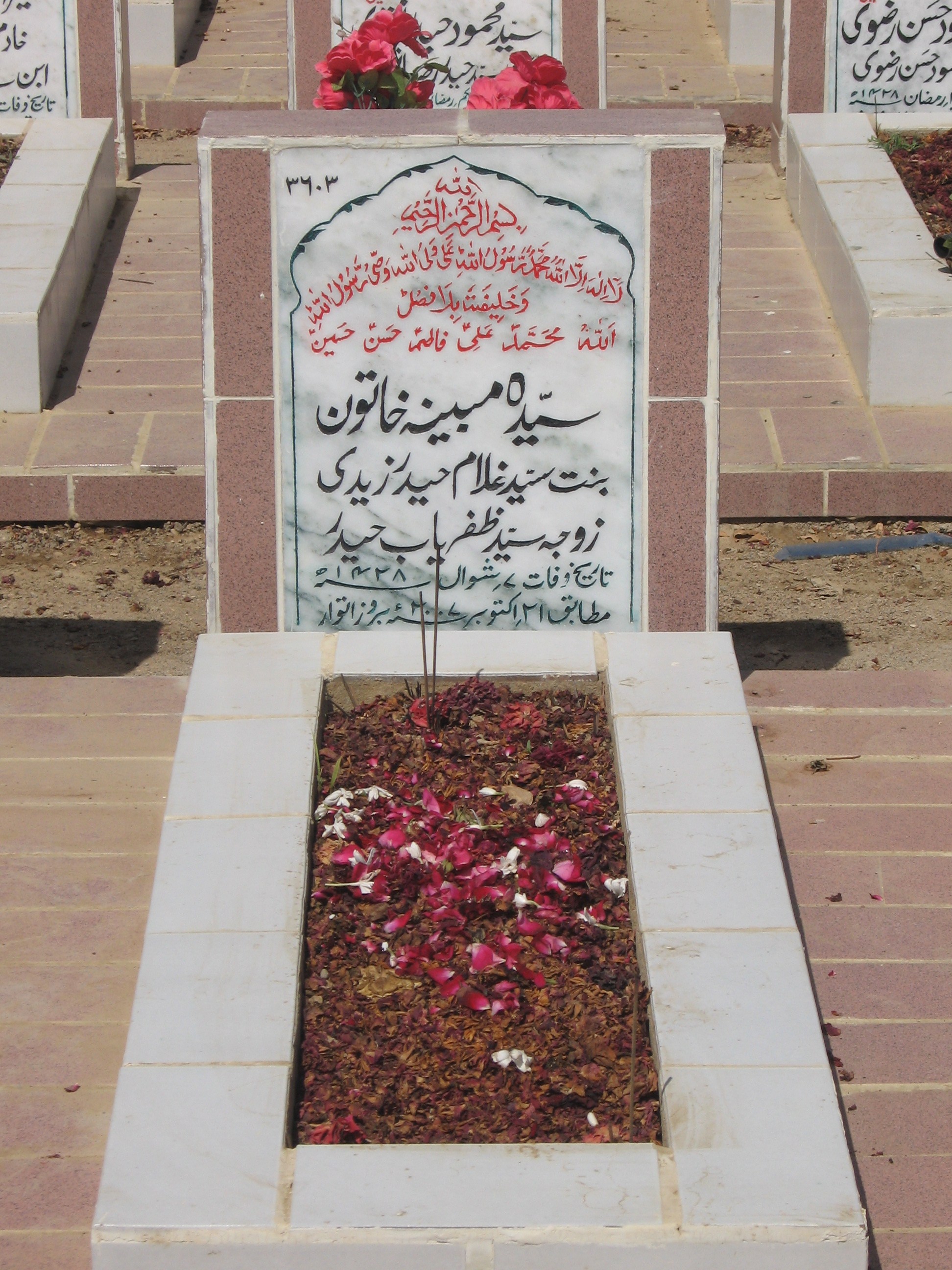 3603 – Syeda Mobina Khatoon