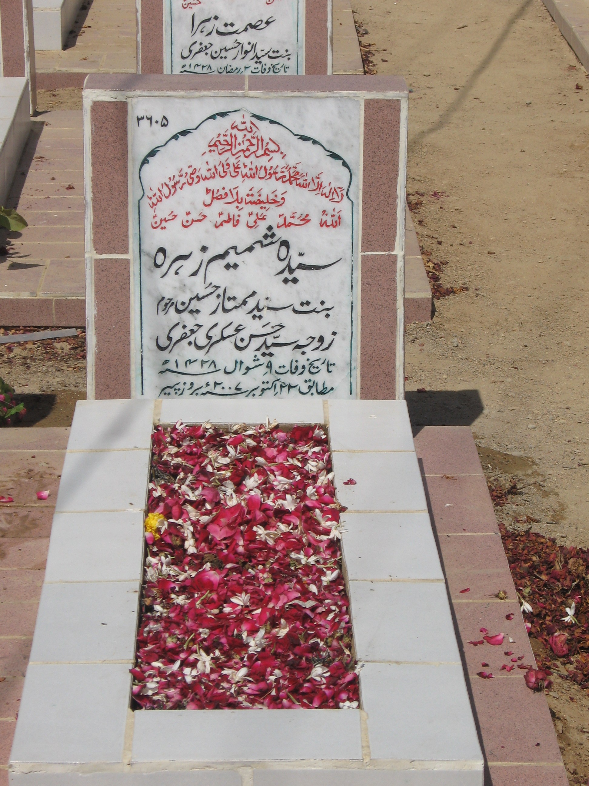 3605 – Syeda Shamim Zehra