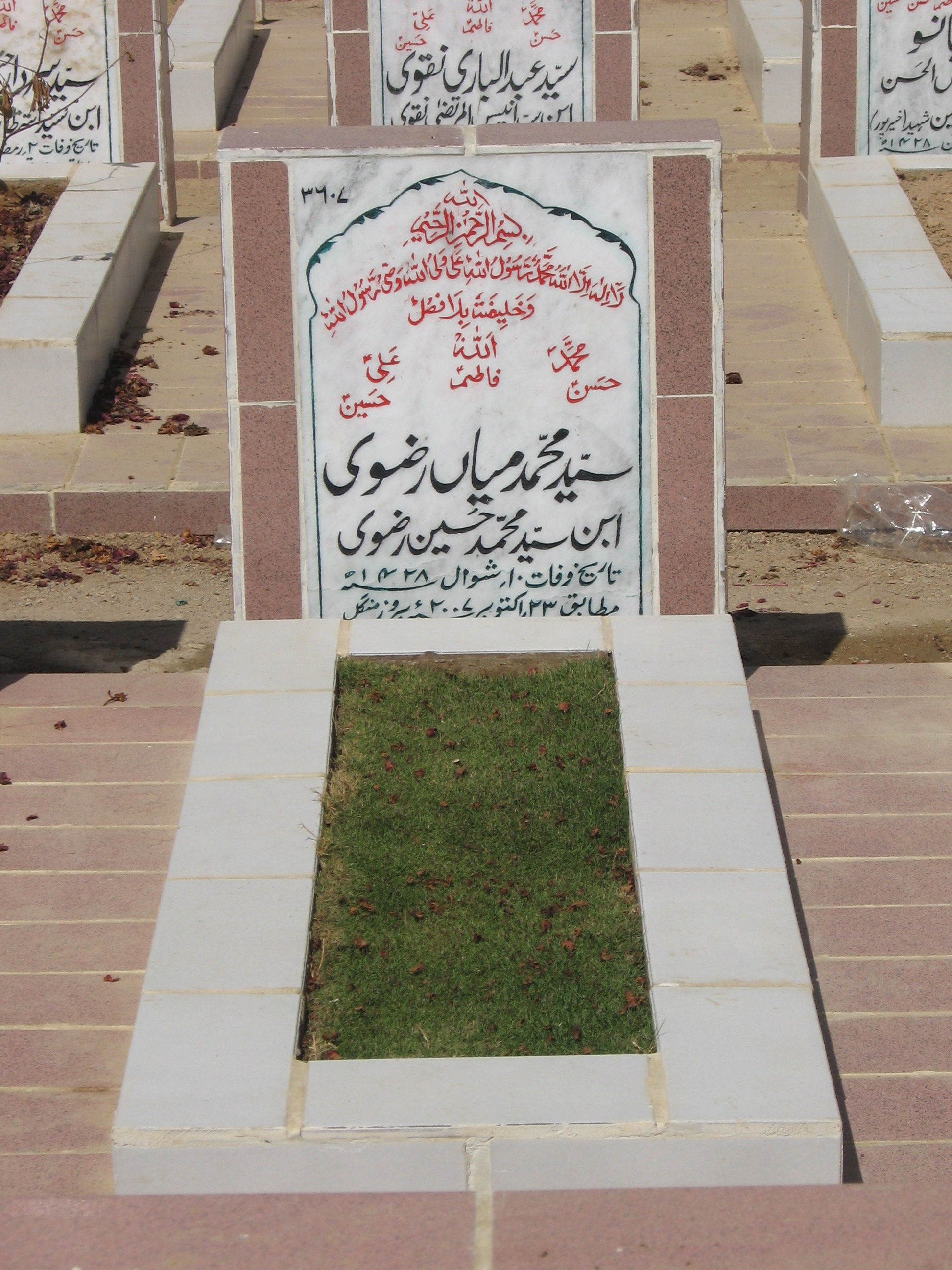 3607 – Syed Muhammad Mian Rizvi