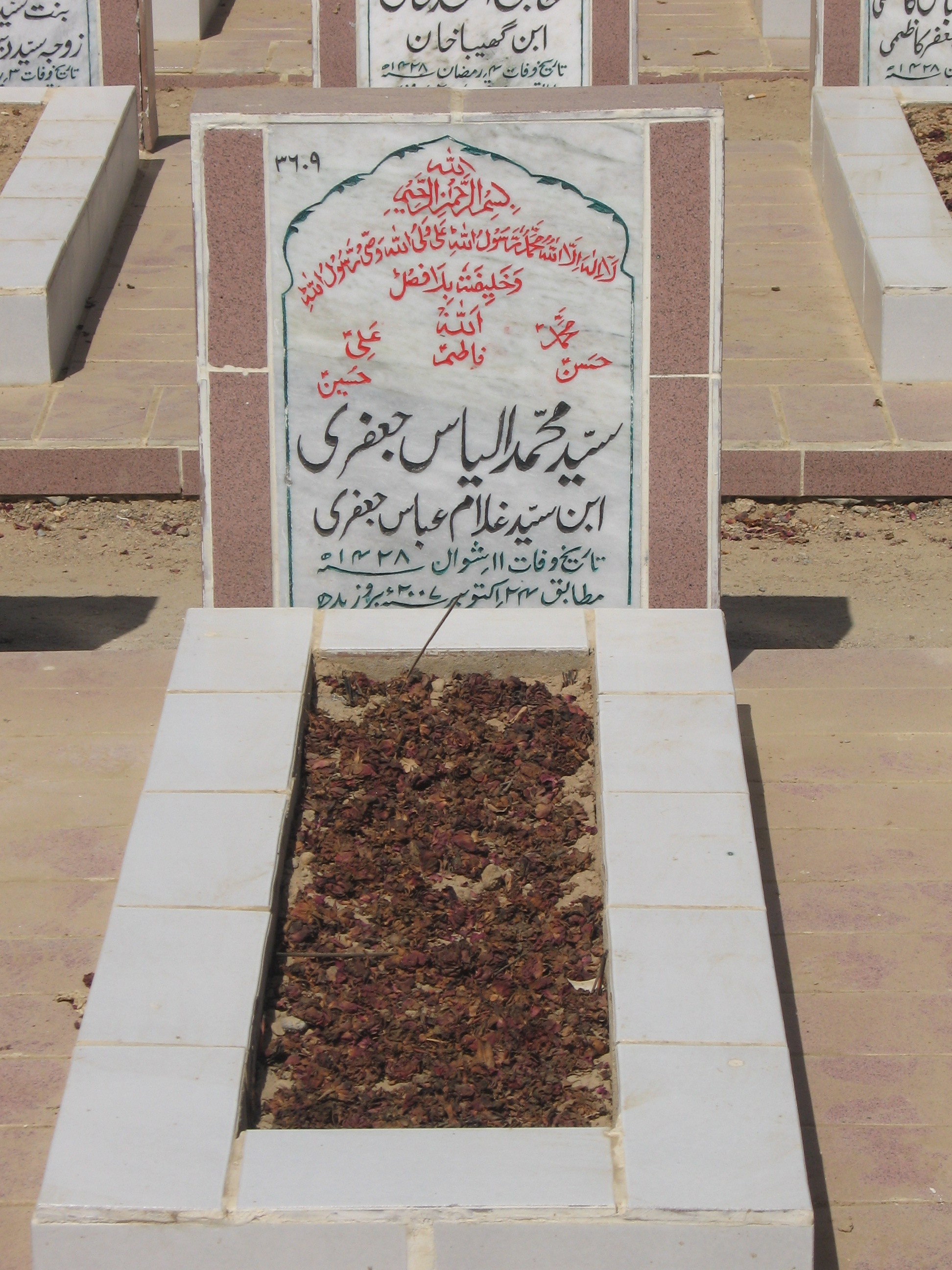 3609 – Syed Muhammad Ilyas Jaffri