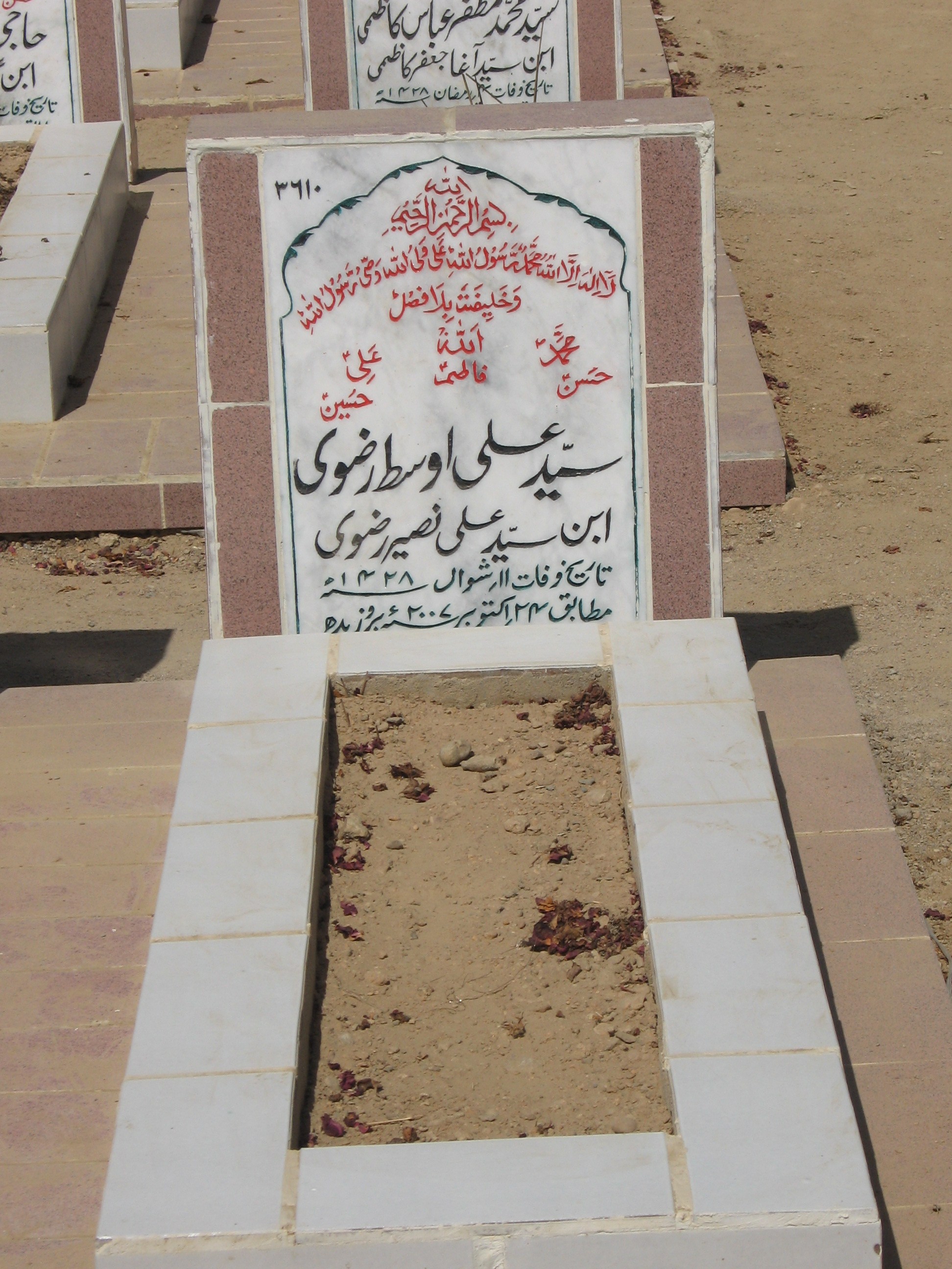 3610 – Syed Ali Osat Rizvi