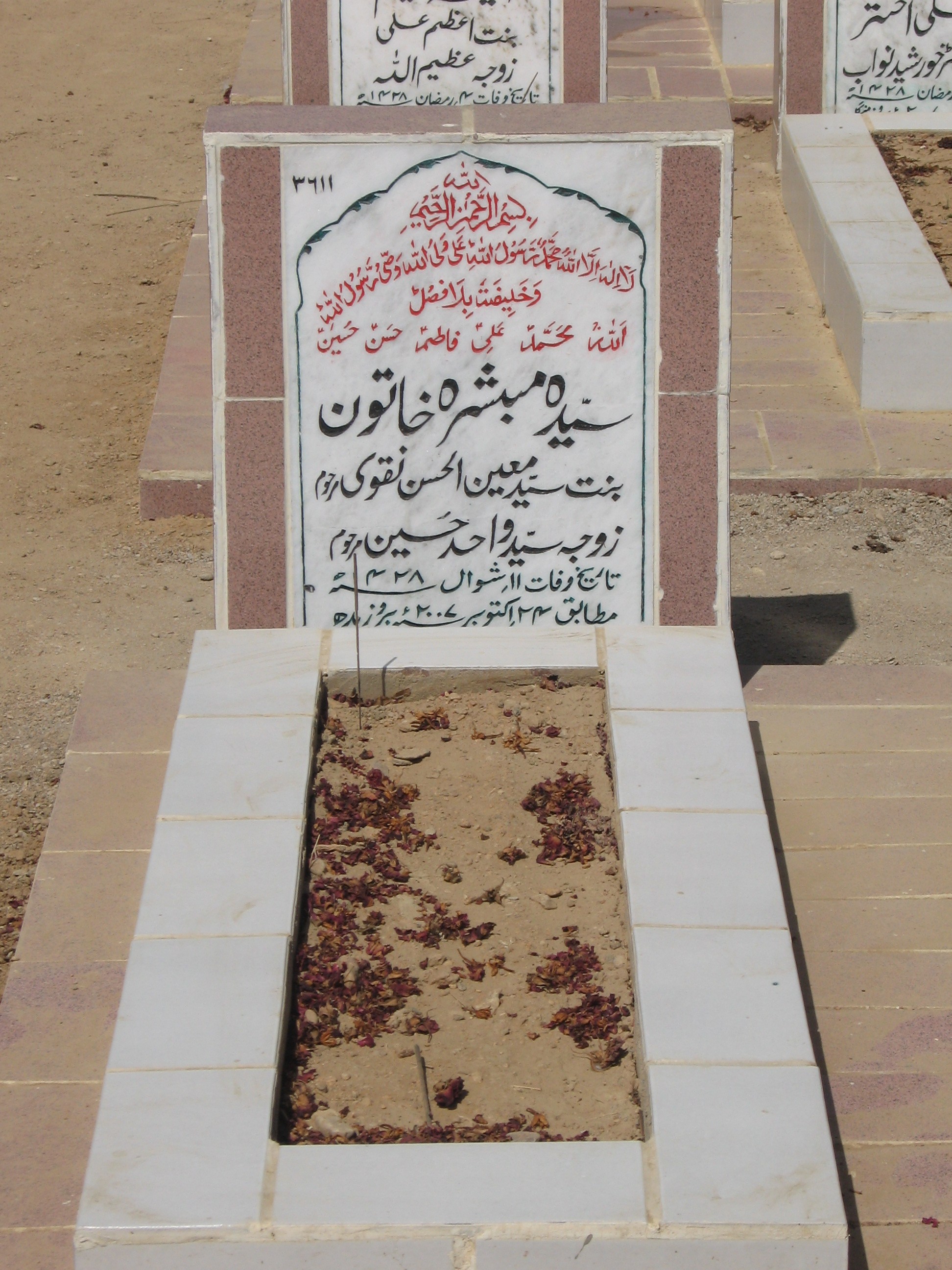 3611 – Syeda Mbashirah Khatoon