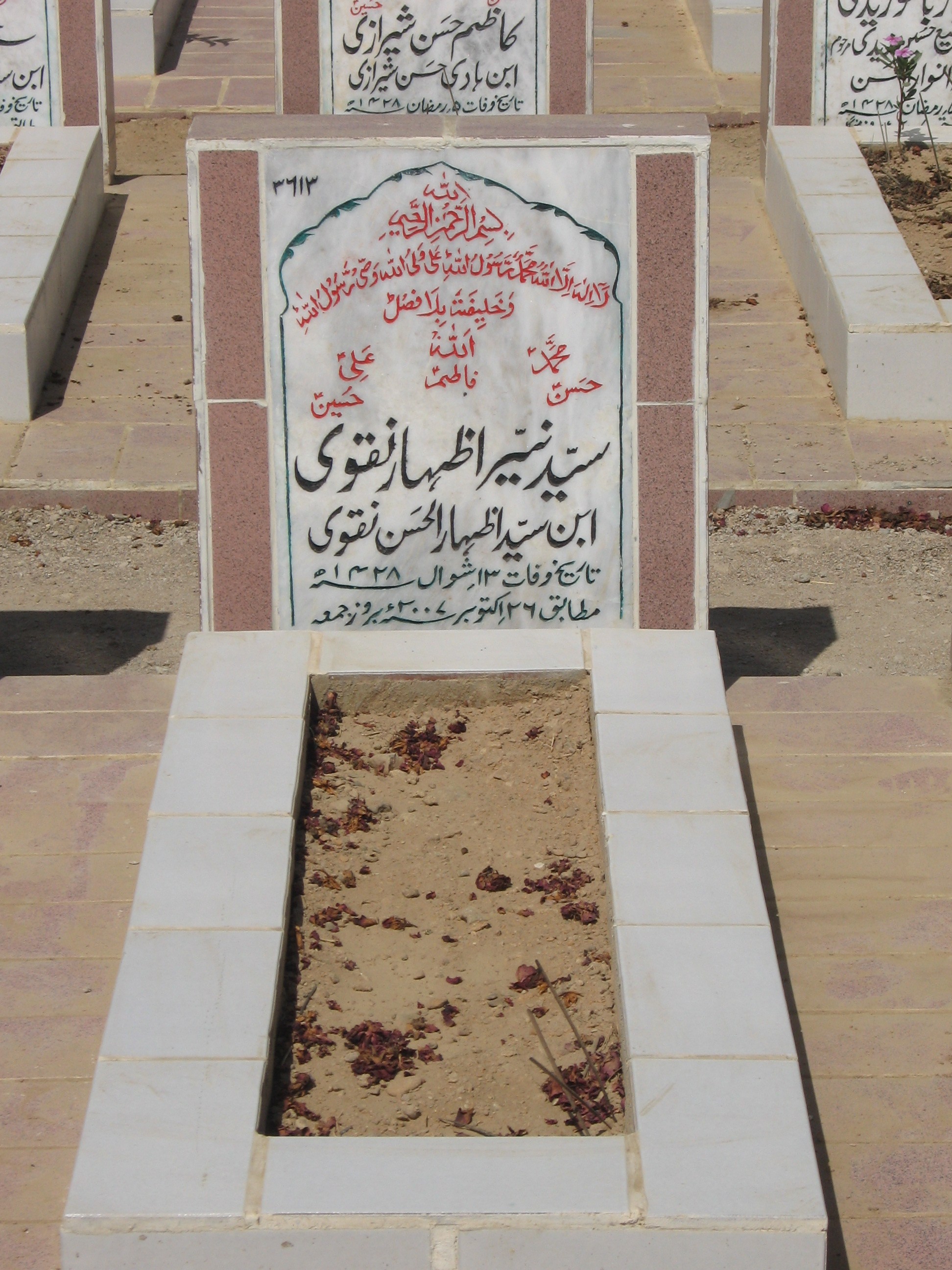 3613 – Syed Nayyer izhar Naqvi