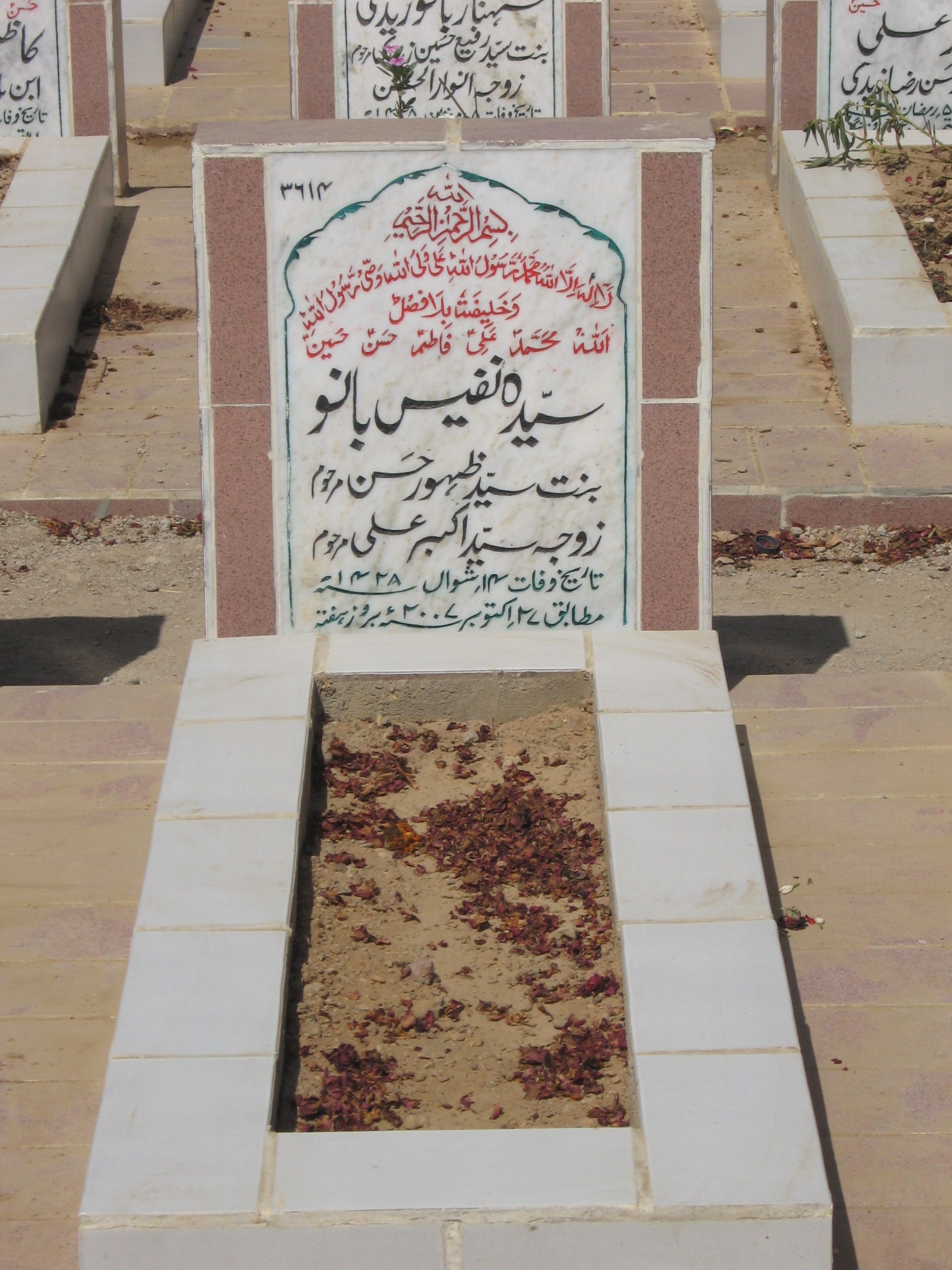 3614 – Syeda Nafees Bano