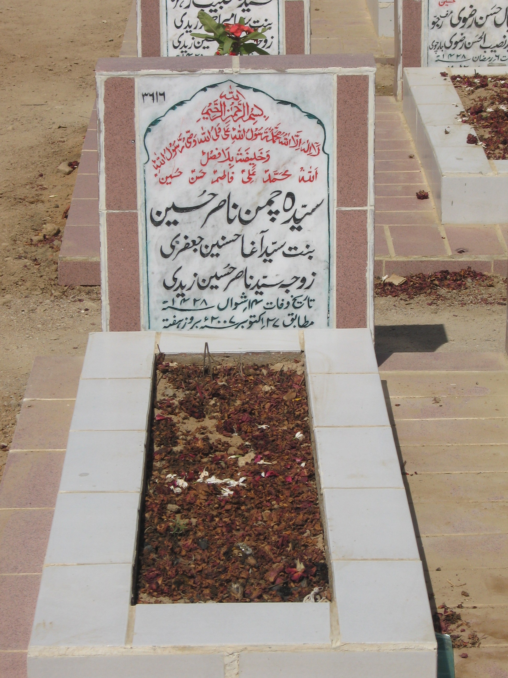 3616 – Syeda Chaman nasir Hussain