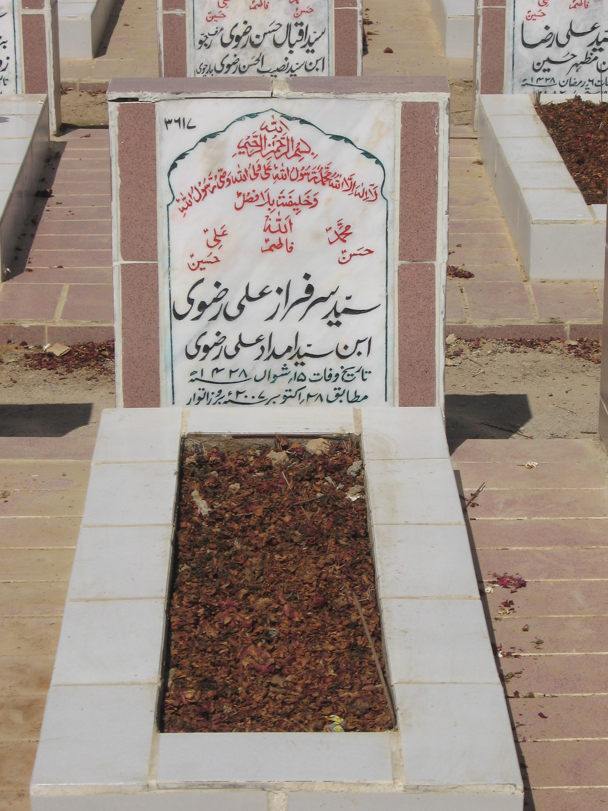 3617 – Syed Sarfaraz Ali Rizvi