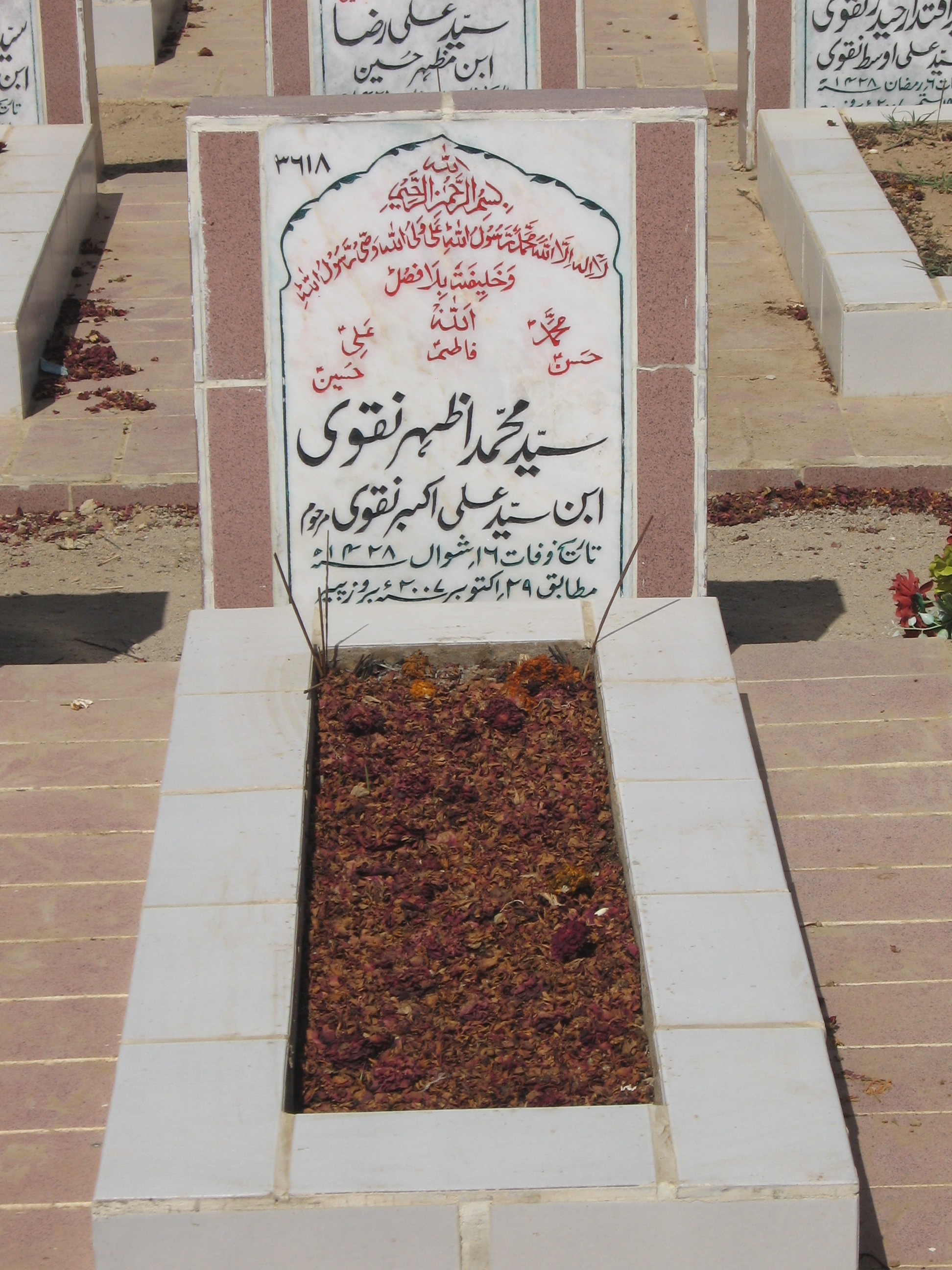 3618 – Syed Muhammad Azhar Naqvi