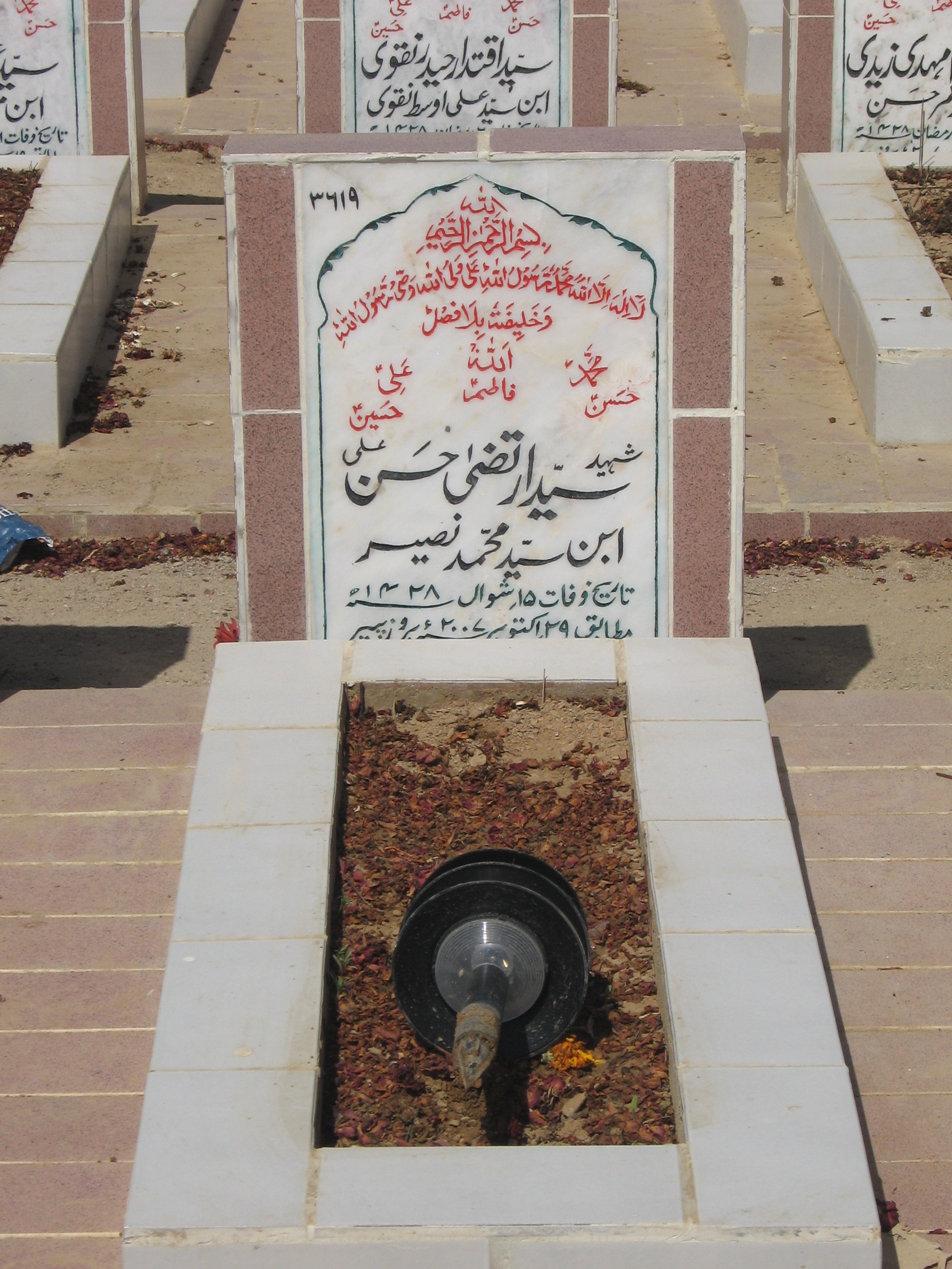 3619 – Syed Irtiza Hassan