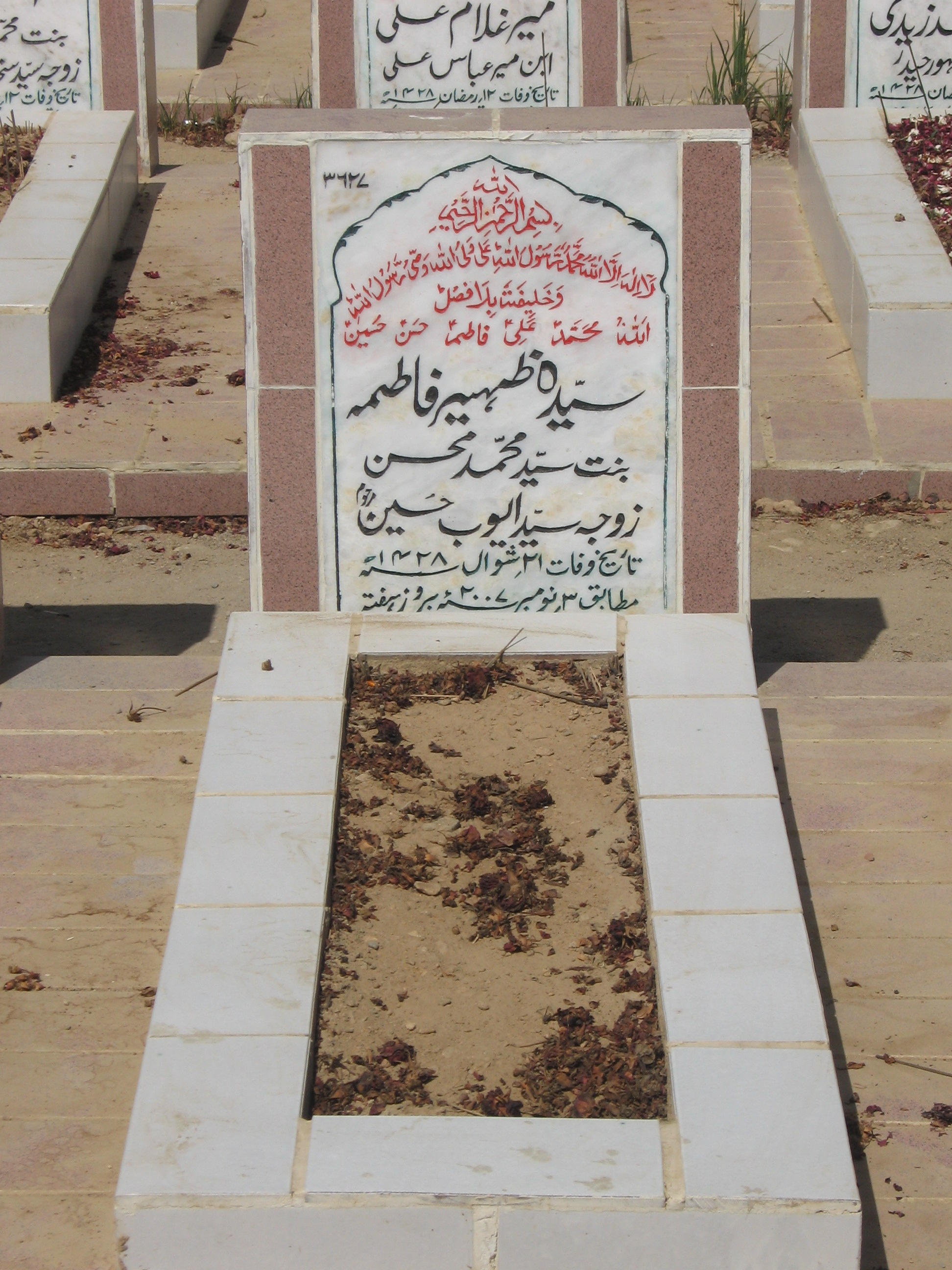 3627 – Syeda Zuhar Fatima