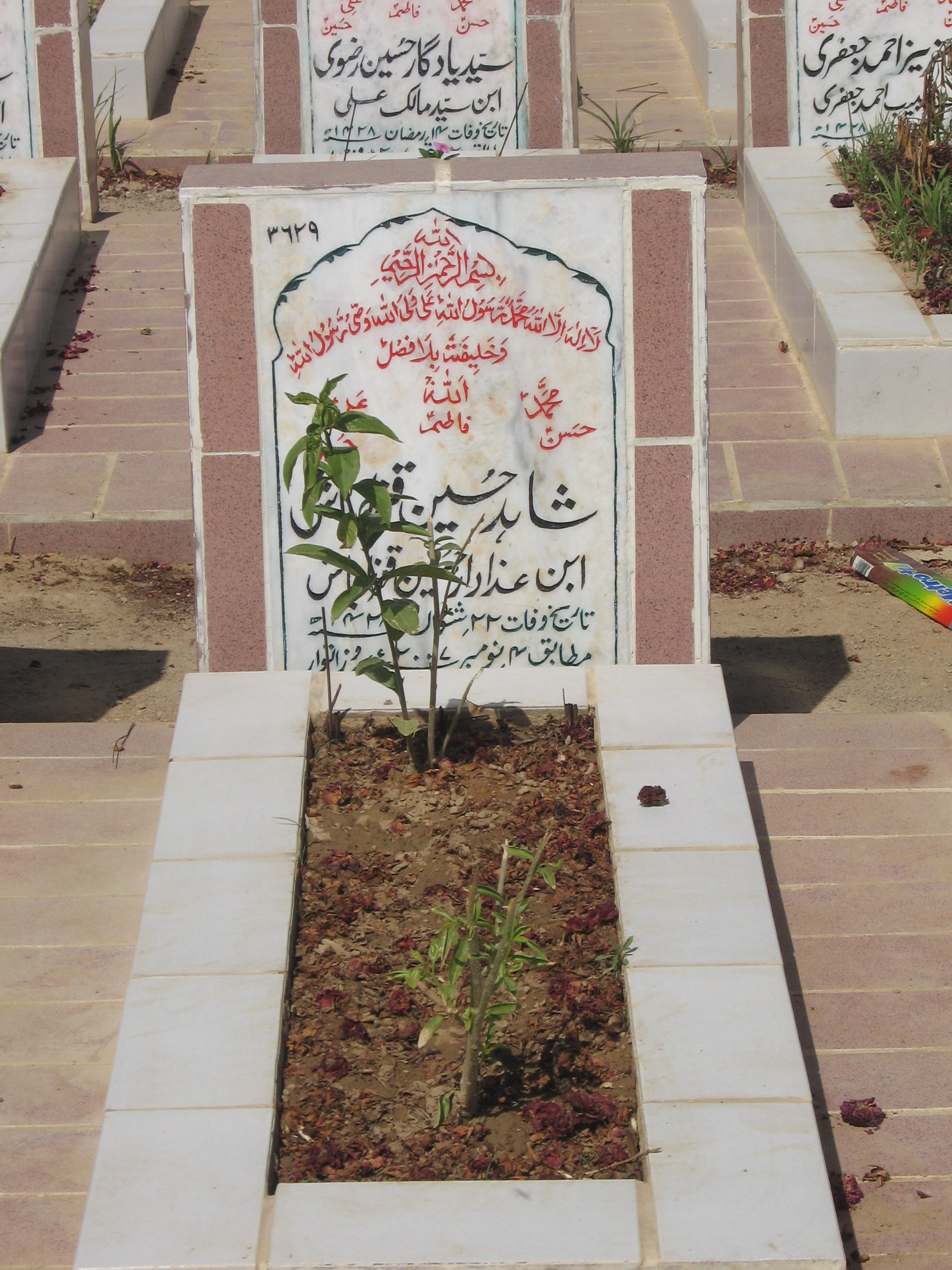 3629 – Shahid Hussain