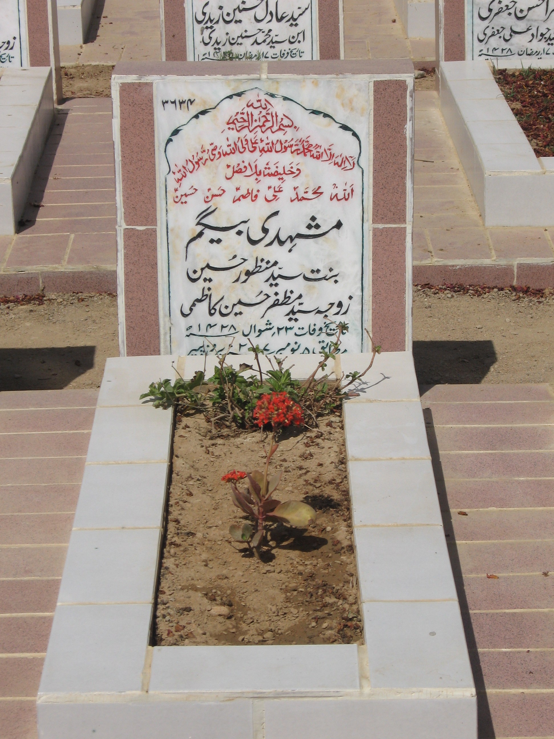 3634 – Mushdi Begum