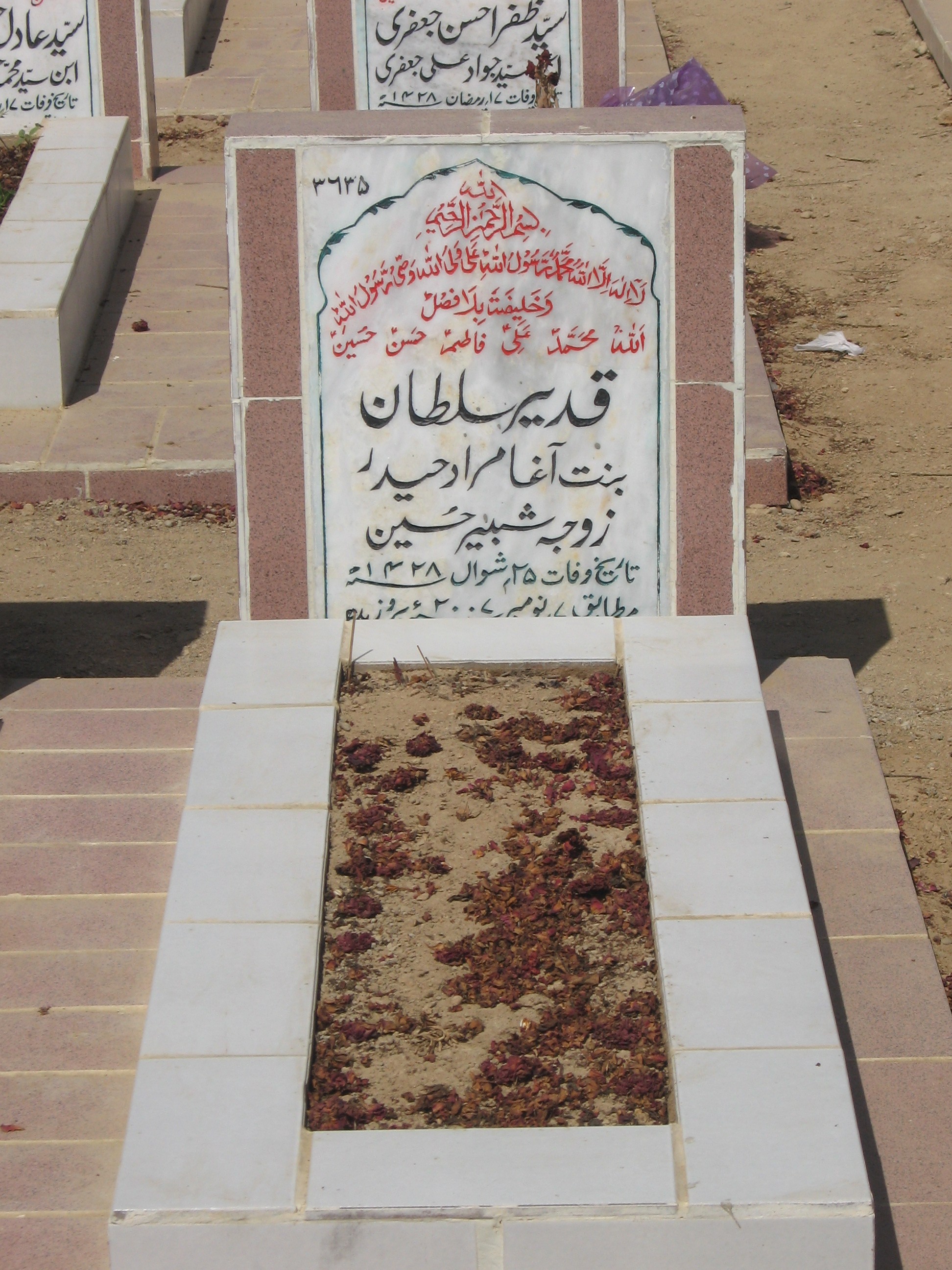 3635 – Qadeer Sultan