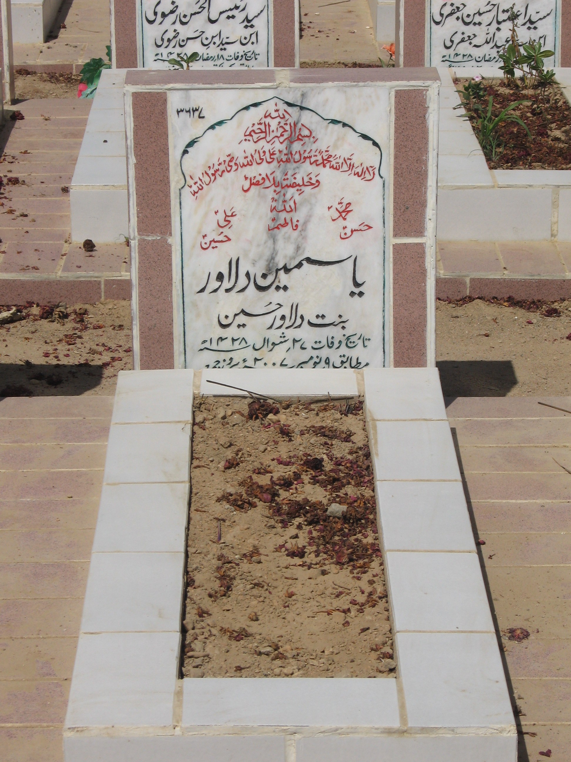 3637 – Yasmeen Dilawar