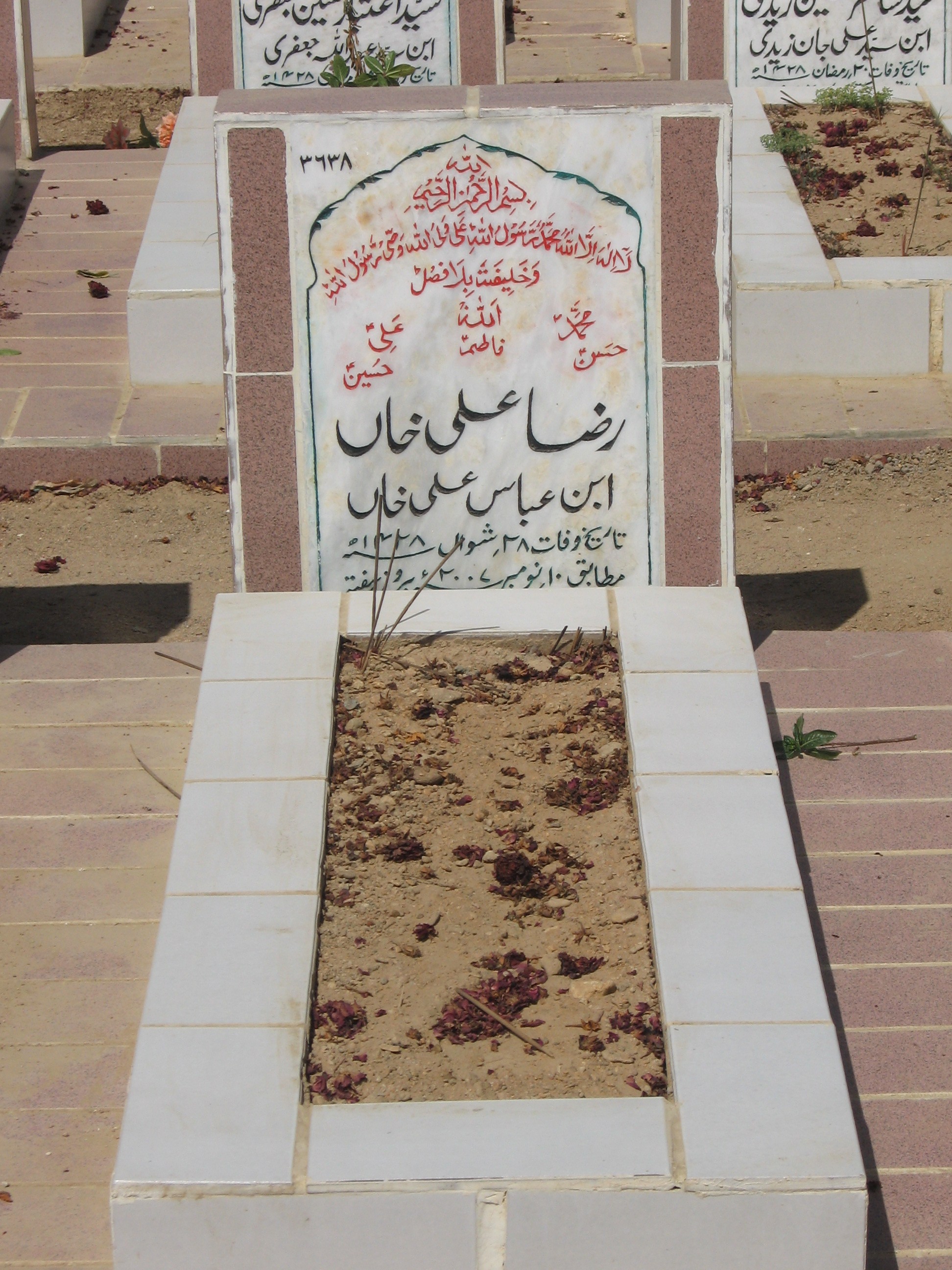 3638 – Raza Ali Khan