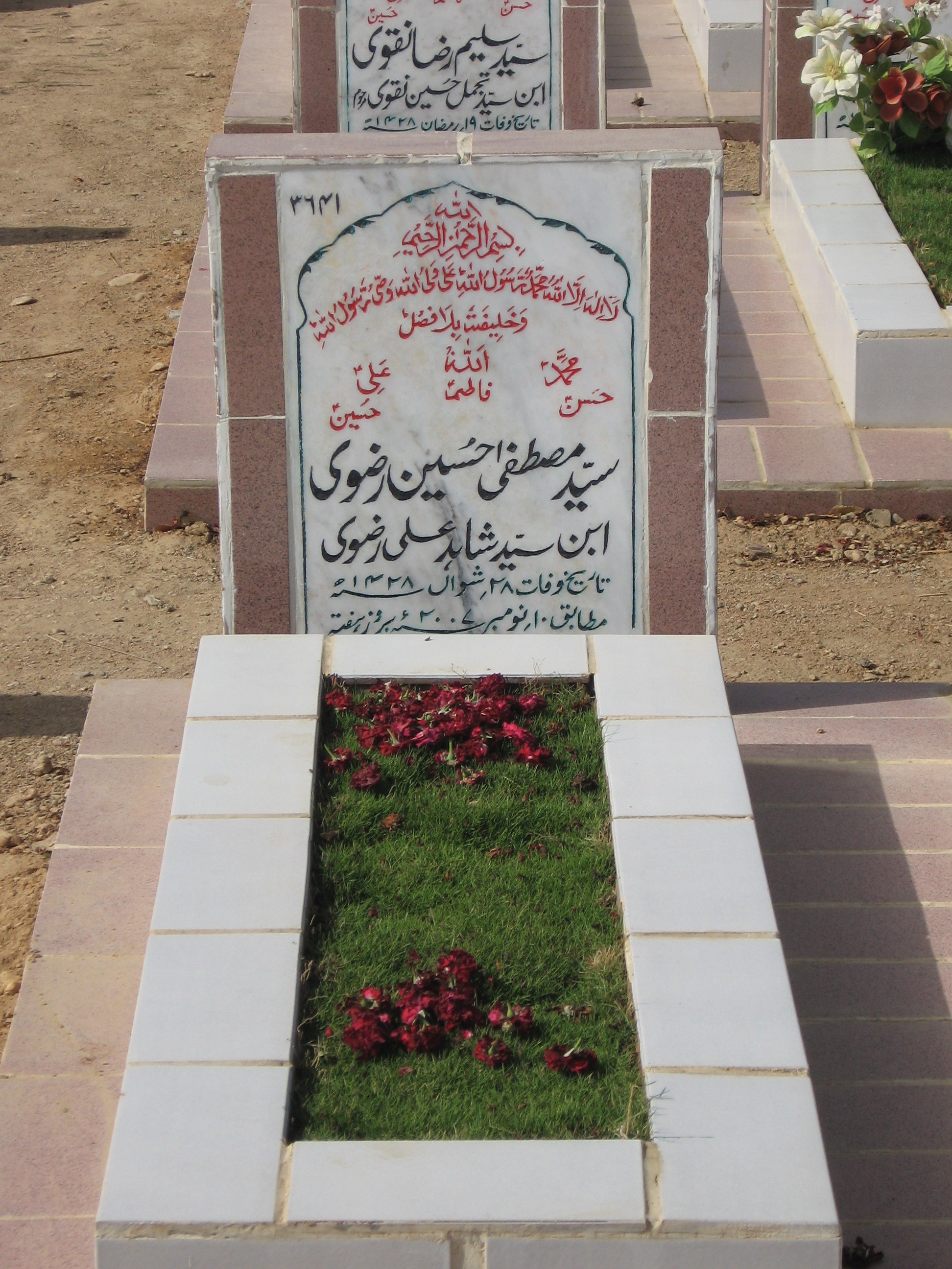 3641 – Syed Musatafa Hussain rizvi