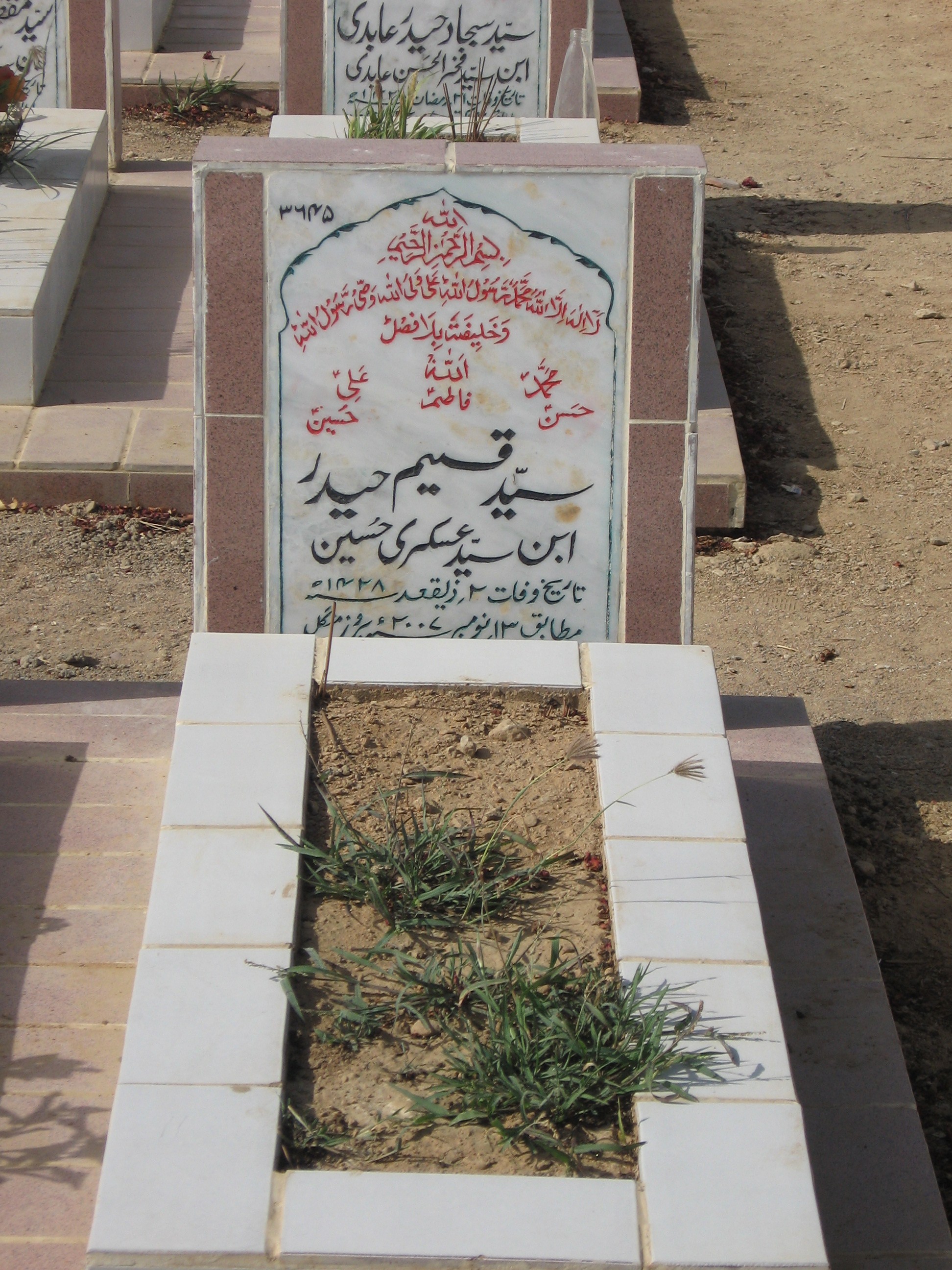 3645 – Syed Qaseem Haider