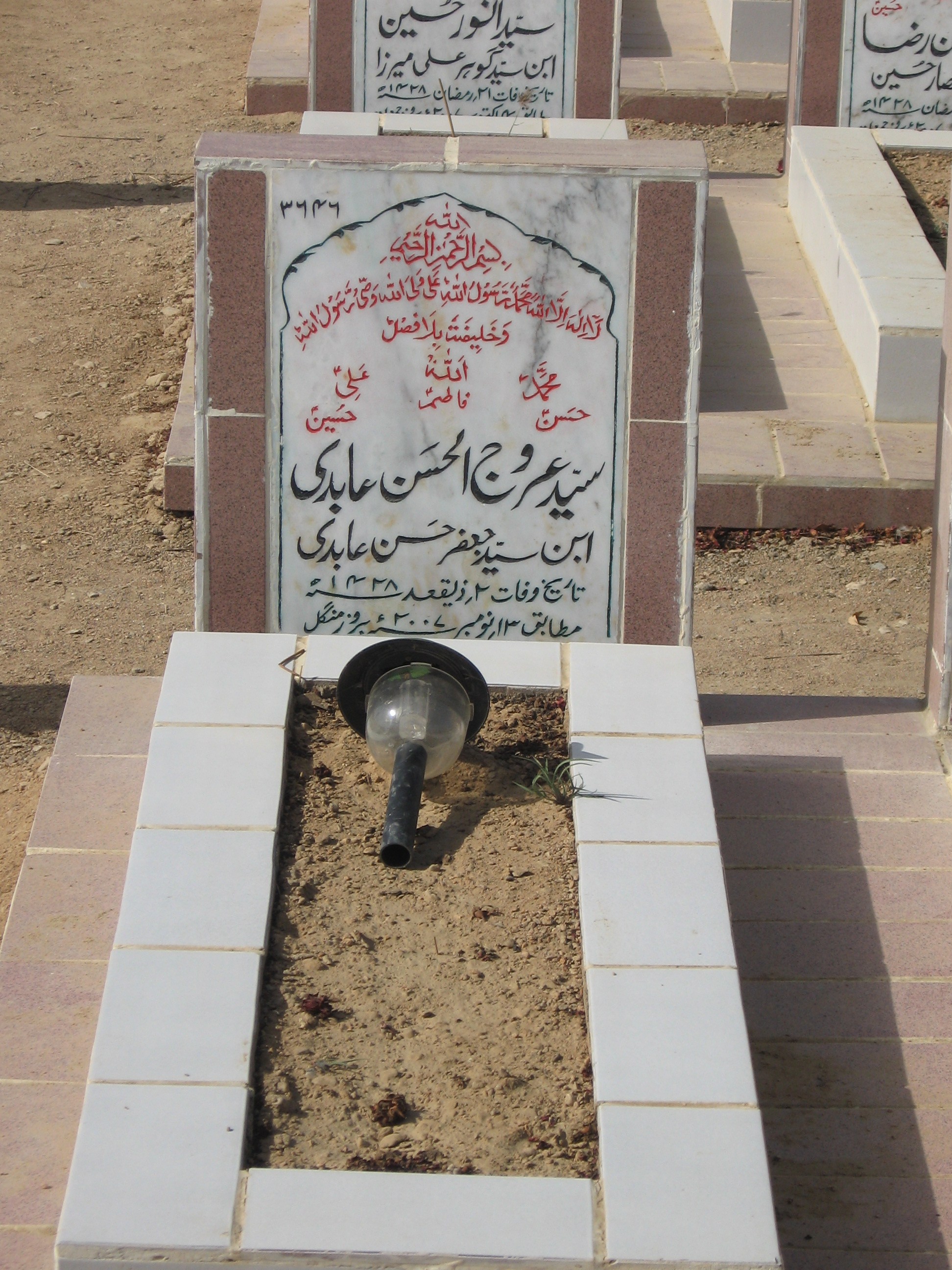 3646 – Syed Urooj-ul-hassan Abidi