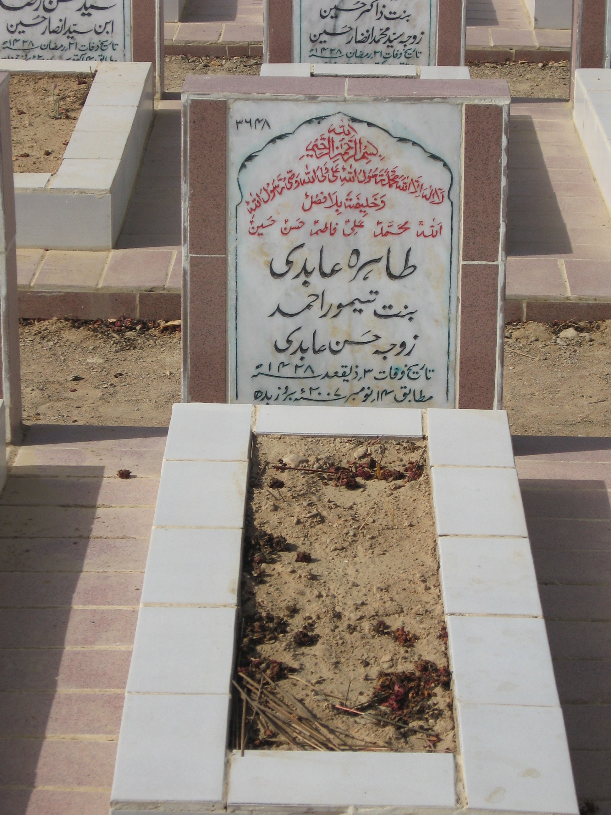 3648 – Tahiah Abidi