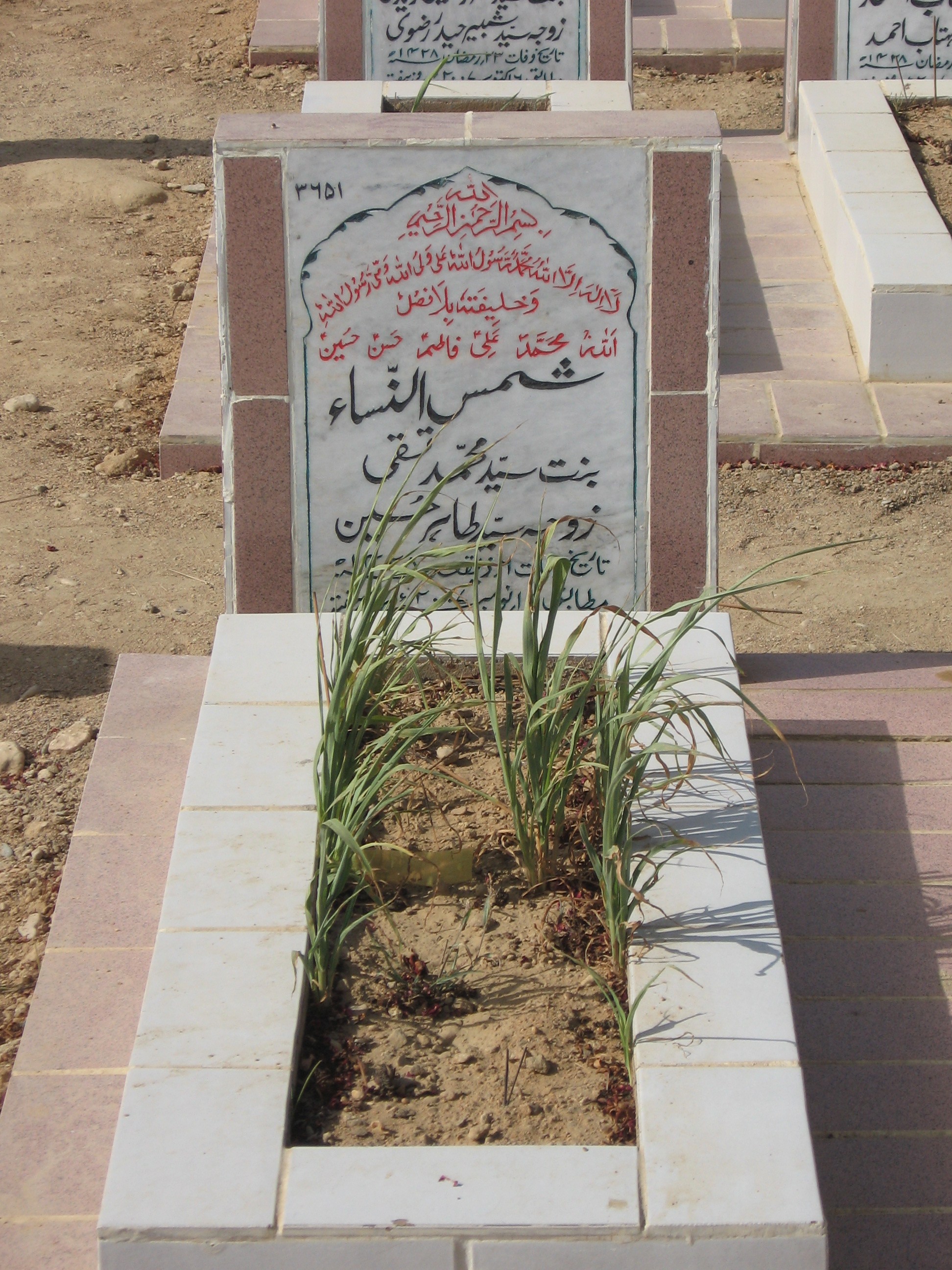 3651 – Shams-un-nisa