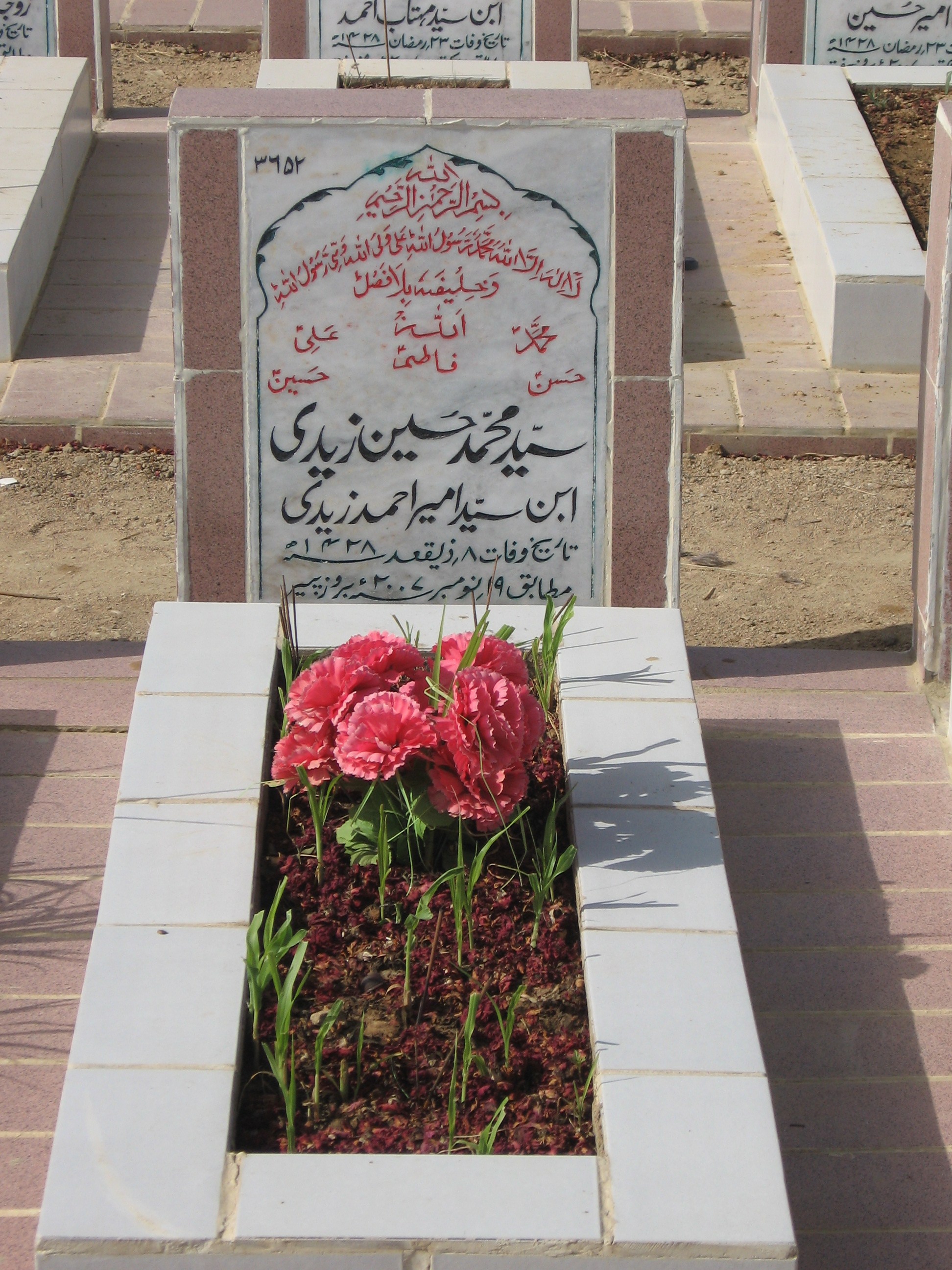 3652 – Syed Muhammad Hussain Zaidi