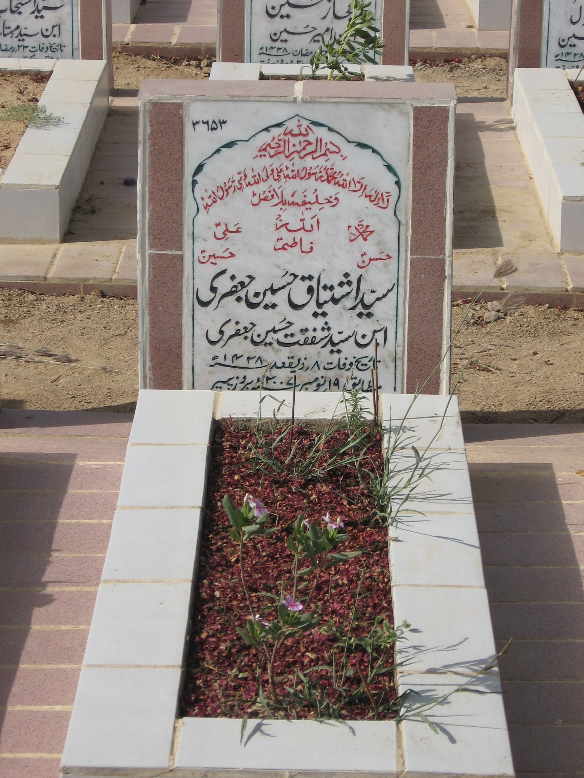 3653 – Syed Ishtiaq Hussain Jaffri