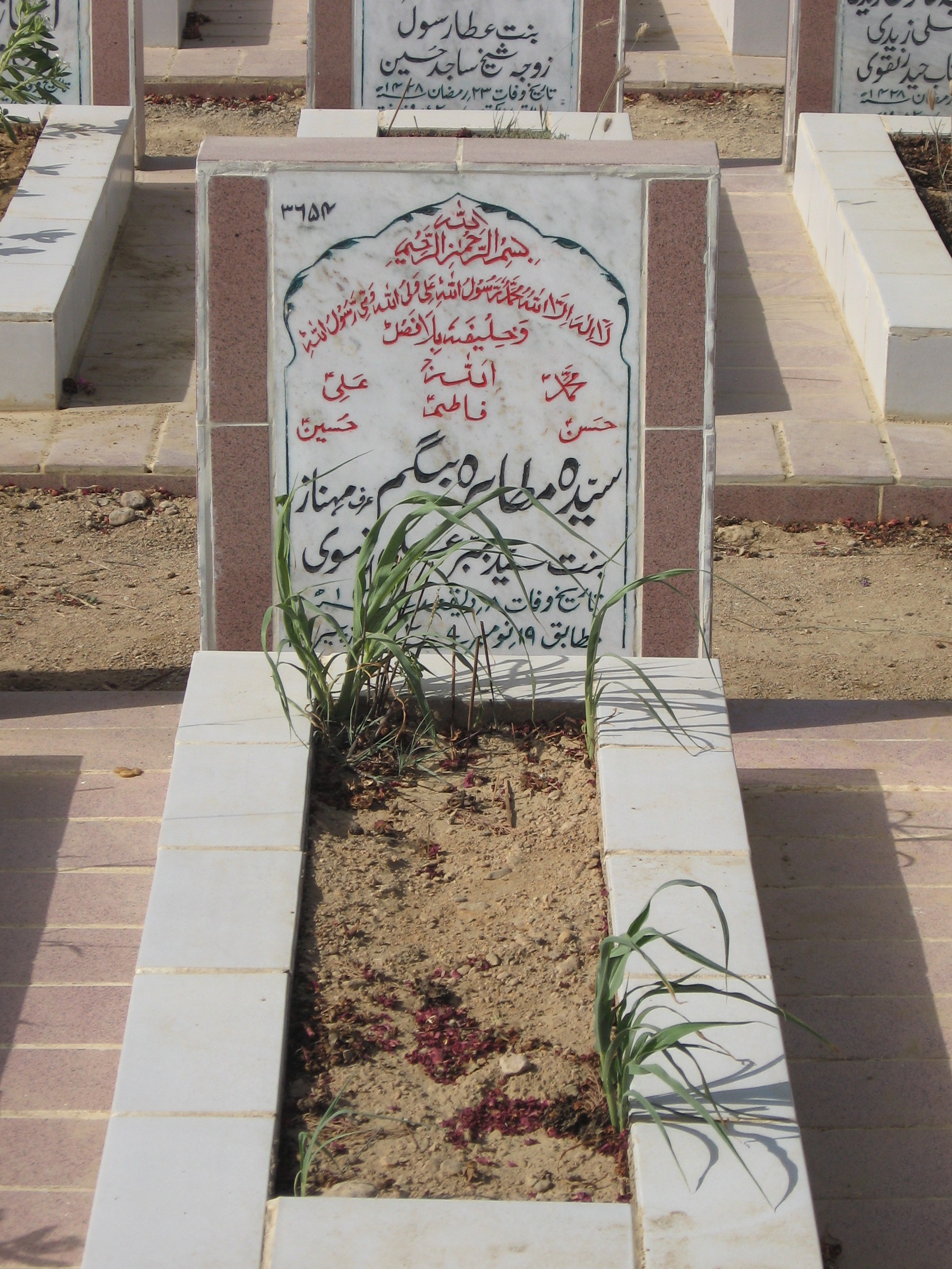 3654 – Syeda Mutahirah Begum(Mehnaz)