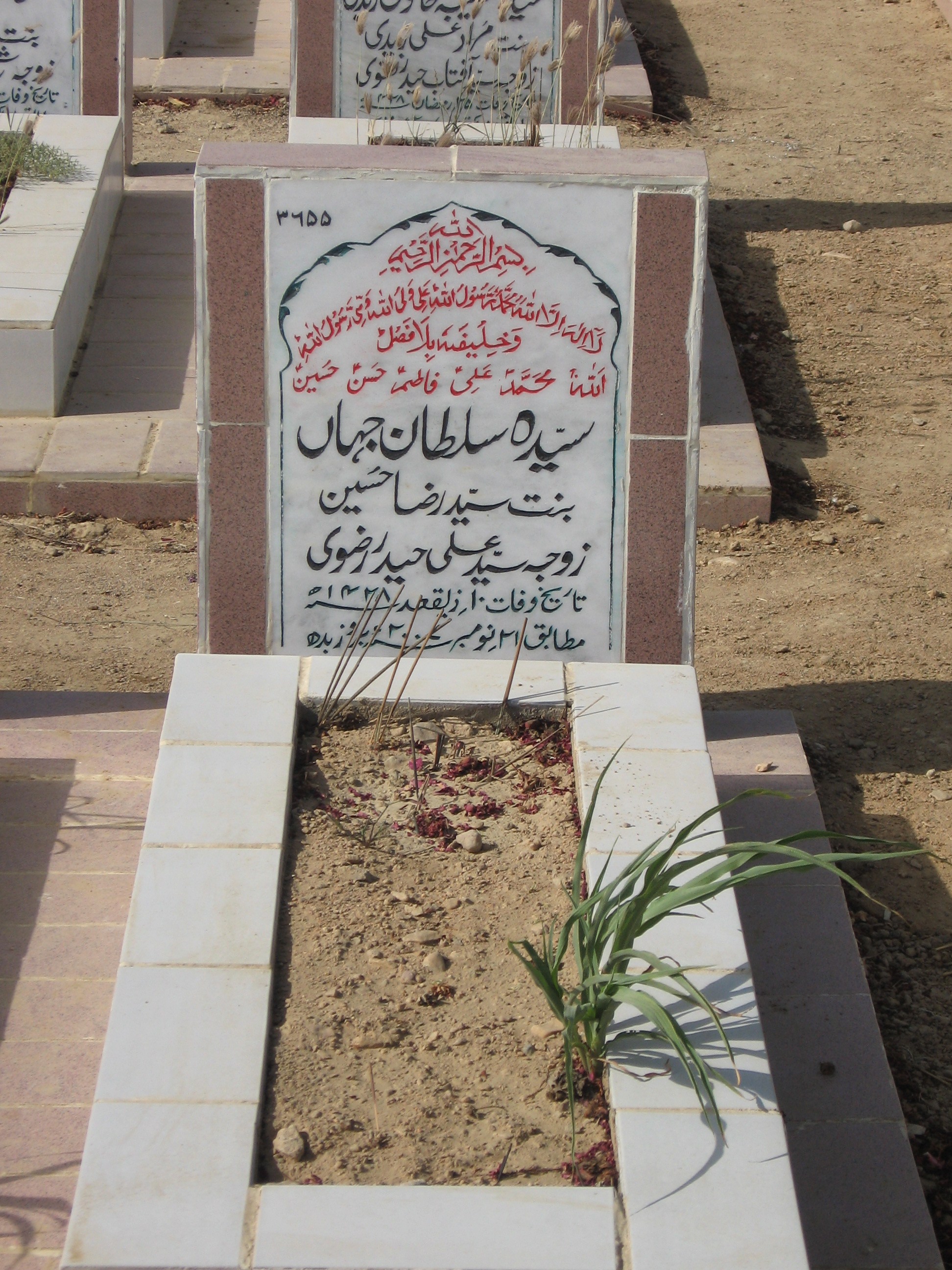 3655 – Syeda Sultan Jahan