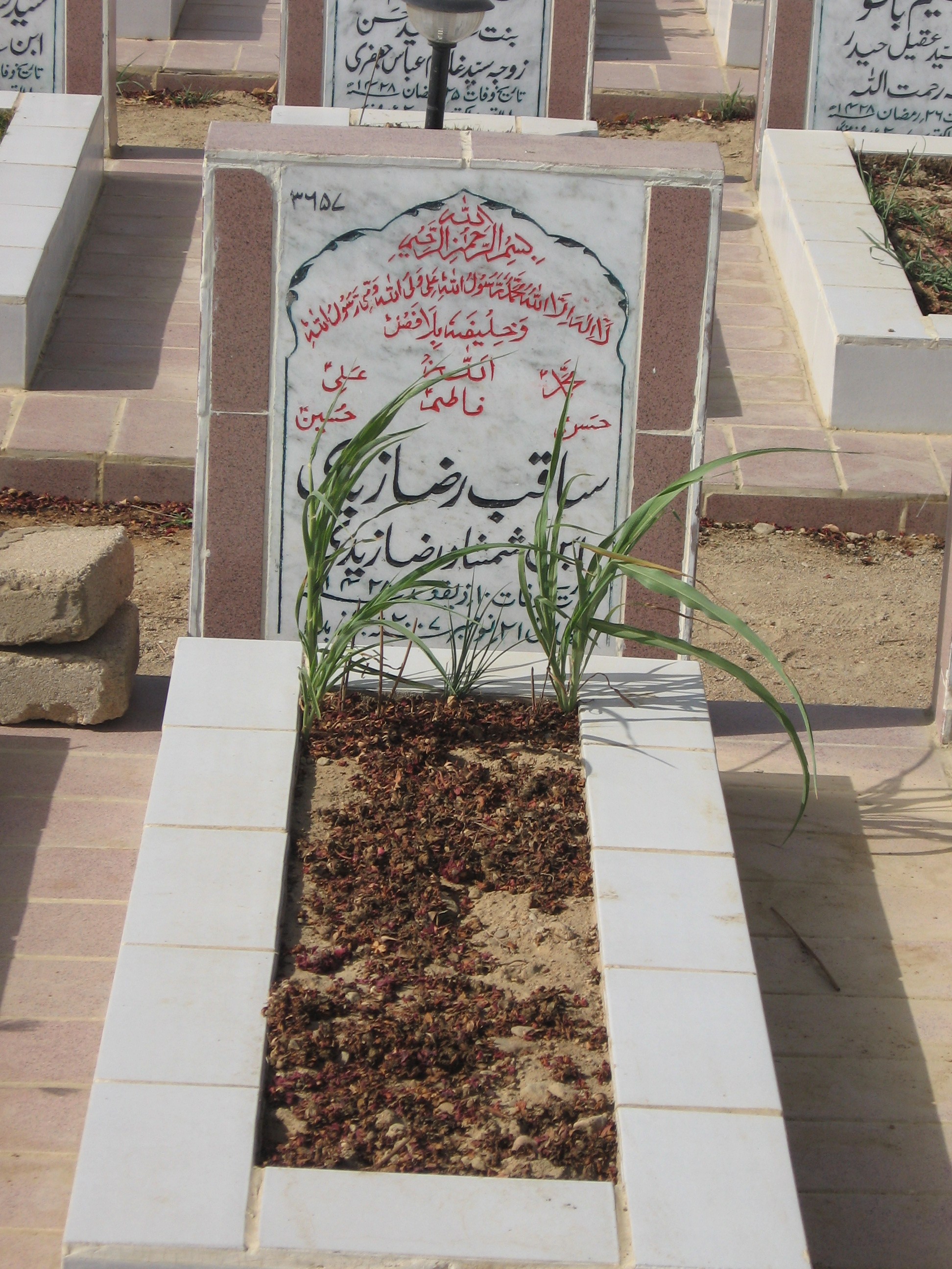 3657 – Saqib Raza Zaidi