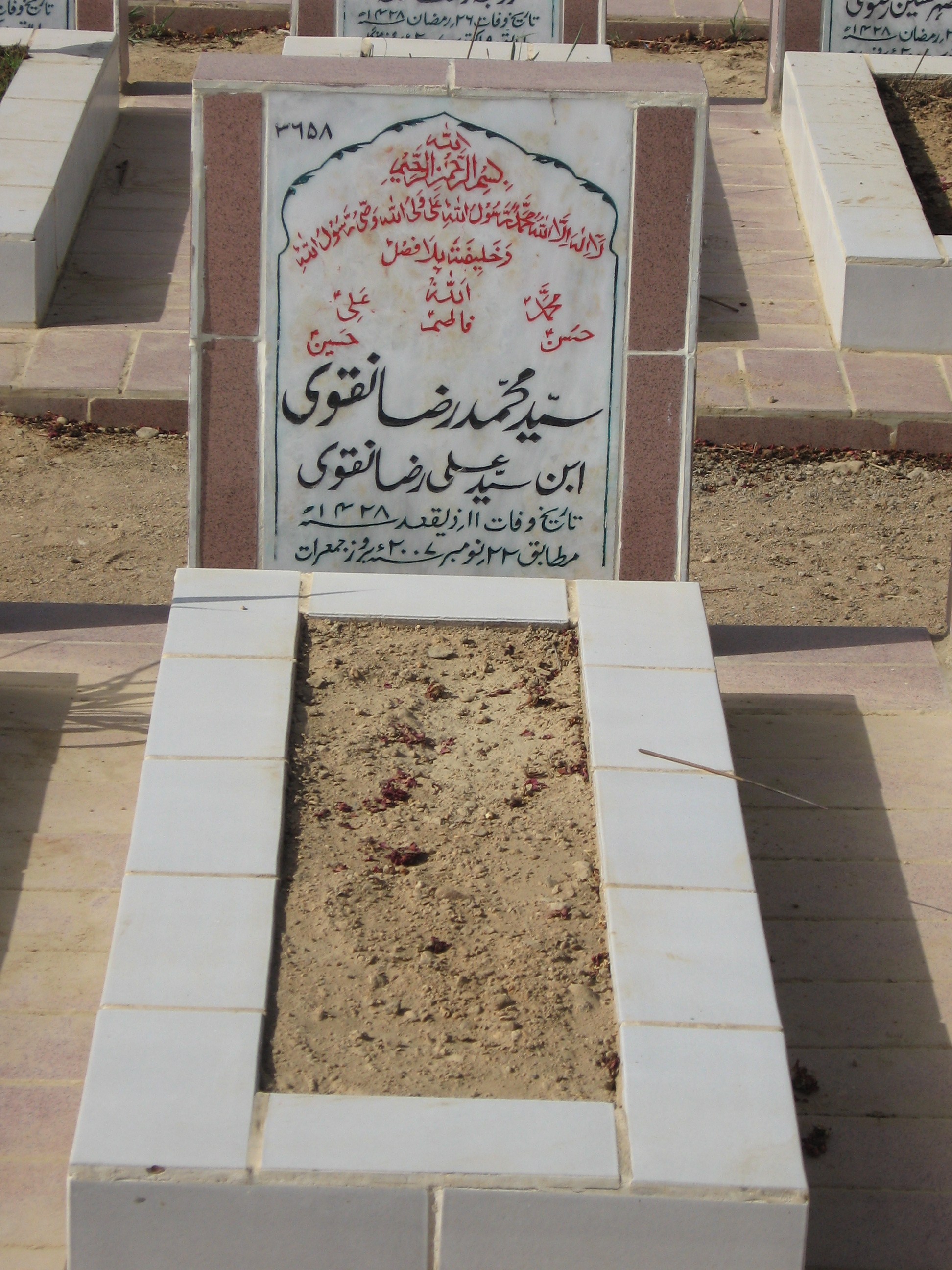 3658 – Syed Muhammad Raza Naqvi