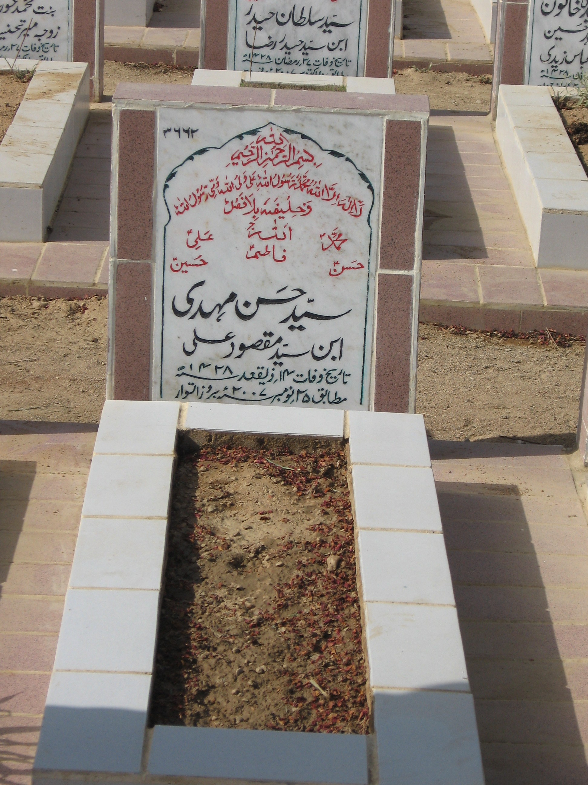 3662 – Syed Hassan Mehdi