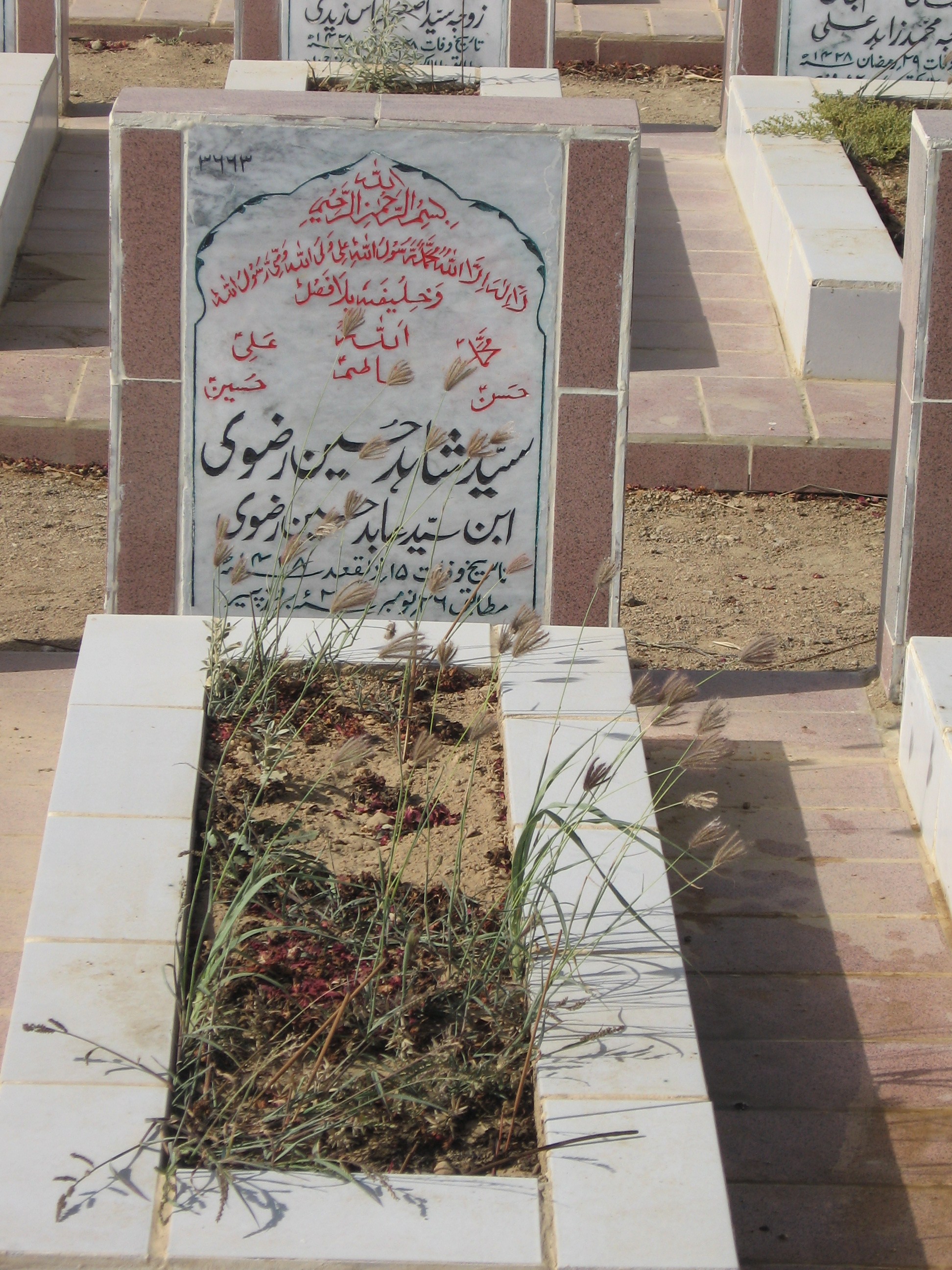 3663 – Syed Shahid Hussain Rizvi